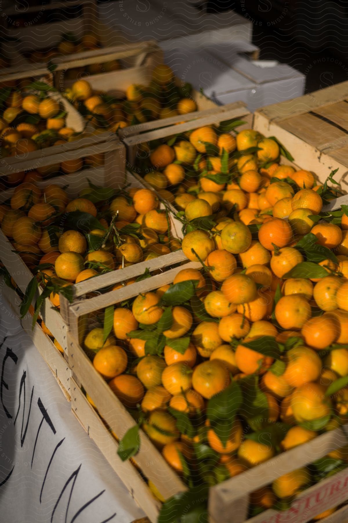 Boxes filled with clementines are on a table at a fruit stand