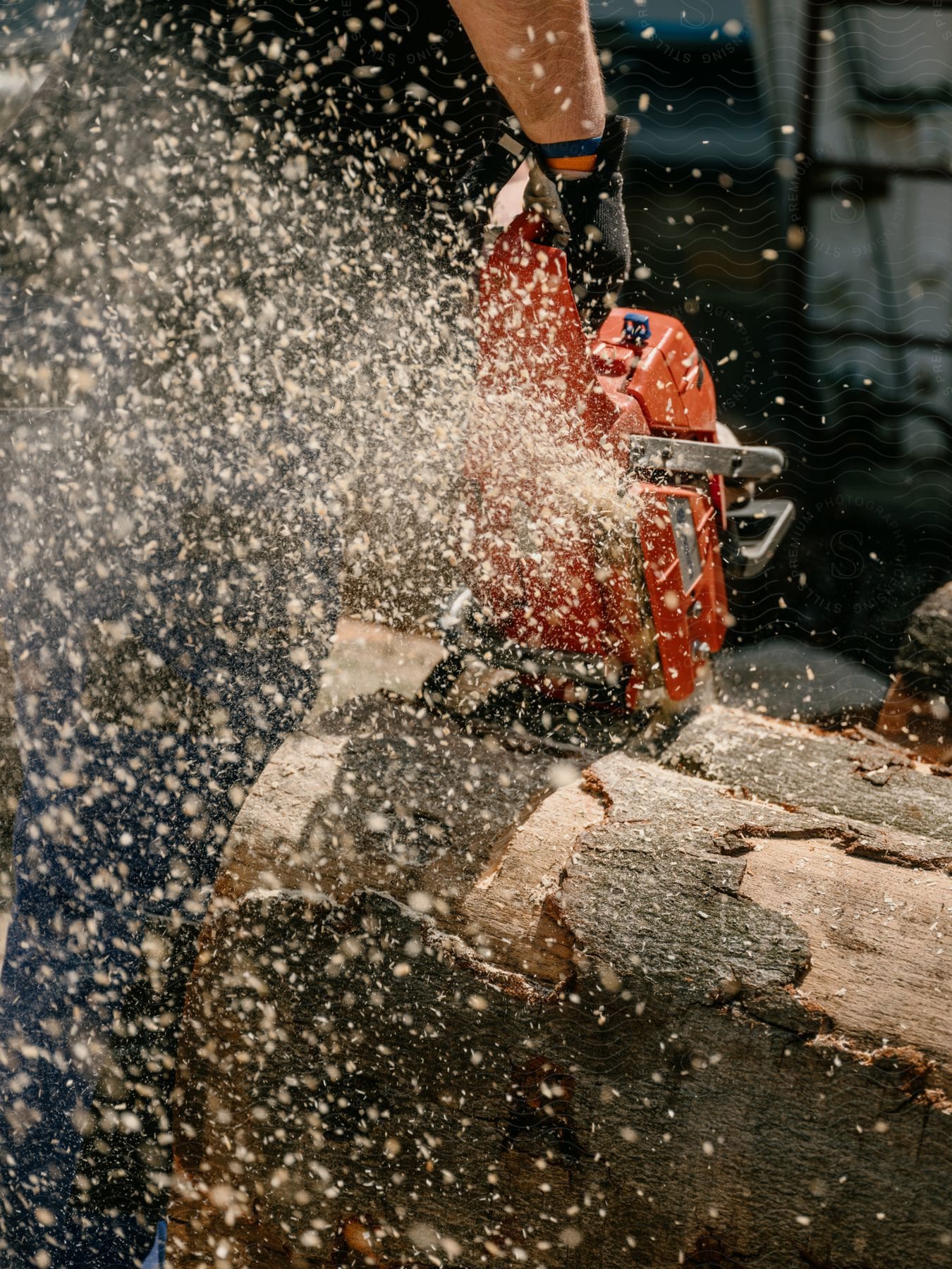 Sawdust flies as a man holds a power saw and cuts logs