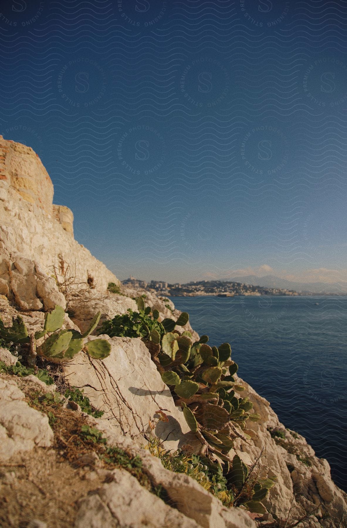 A rocky cliff is over looking the ocean.