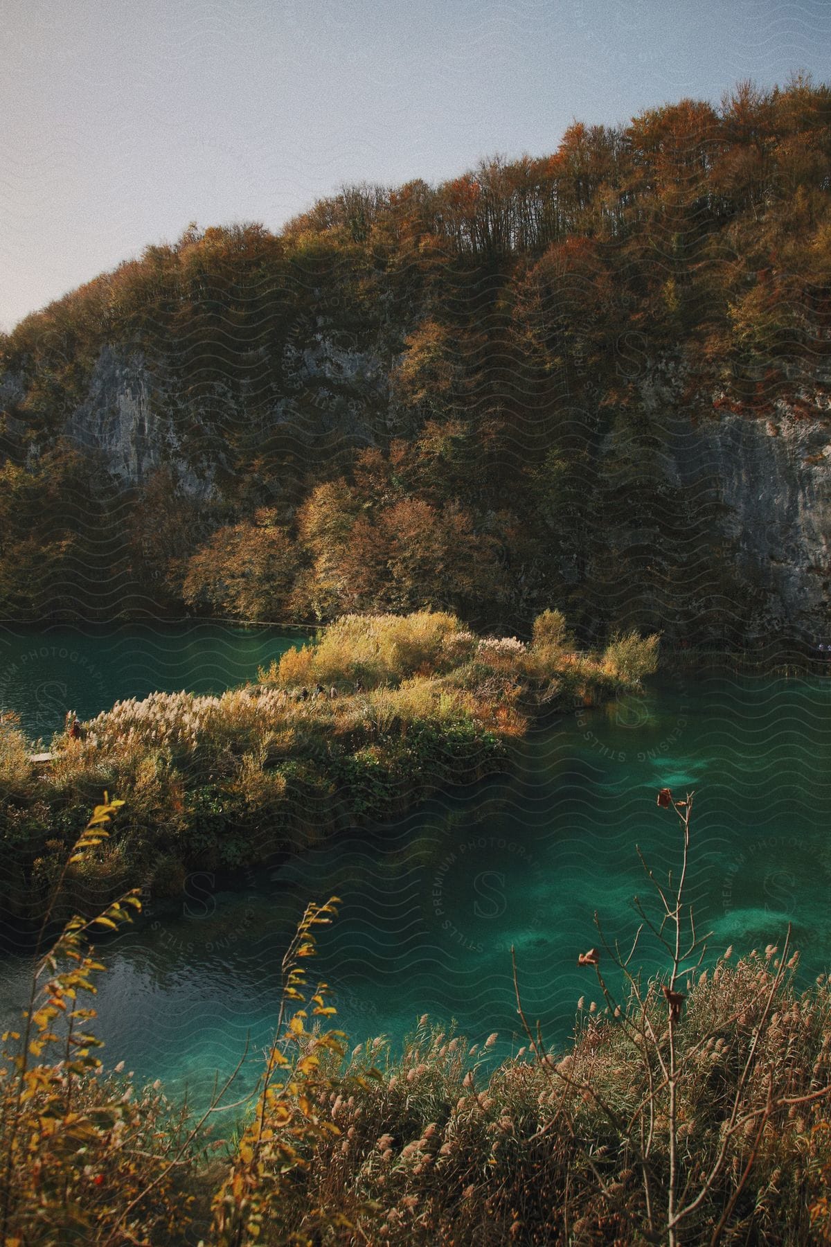 a small, circular island in the middle of a lake. The island is covered in dense green vegetation and a mountain