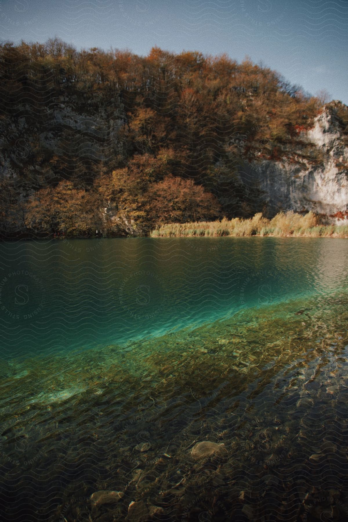 Crystal-clear lake with visible stones under the surface and a backdrop of autumn-colored trees on a rocky cliff.