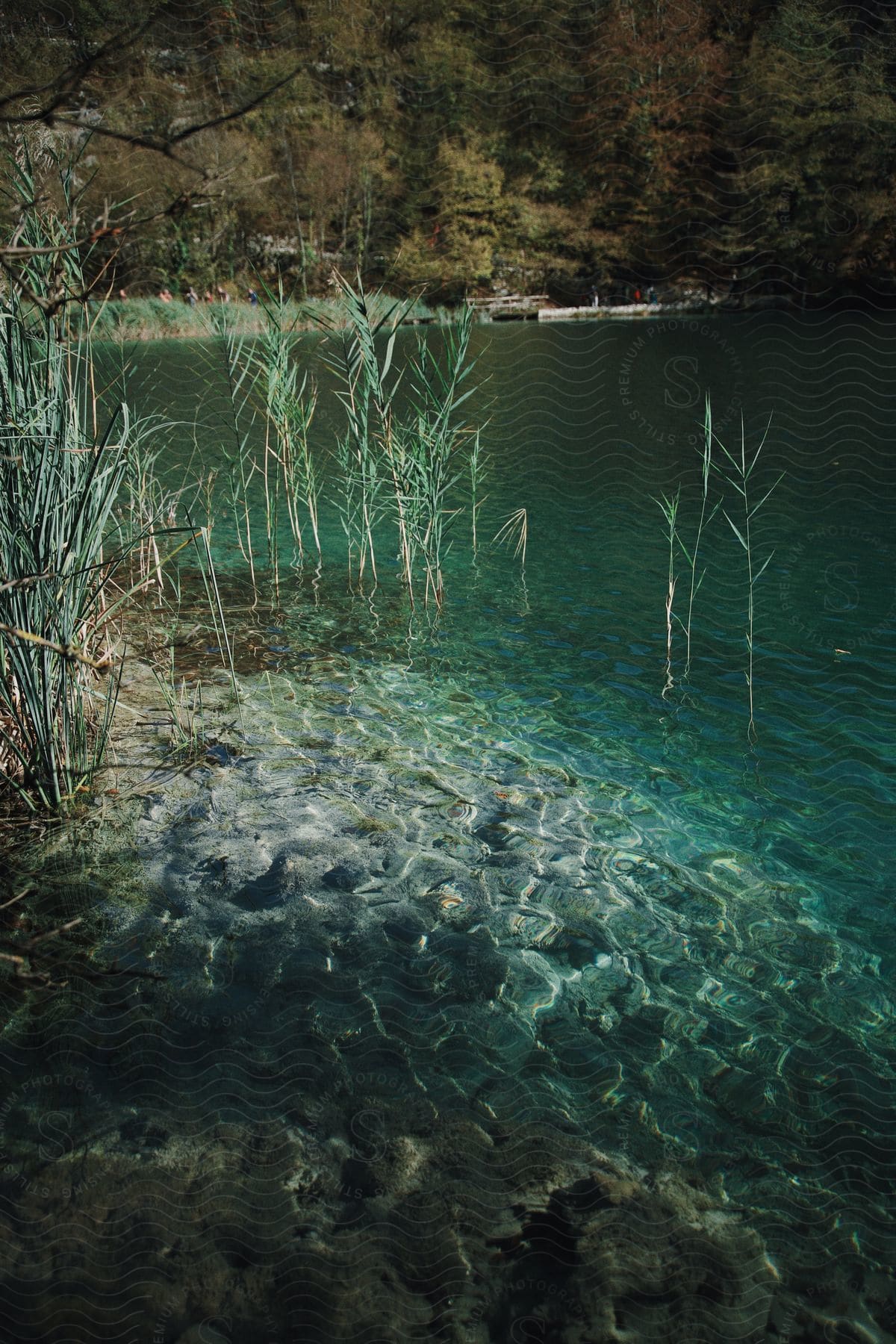 View of a turquoise blue lake.