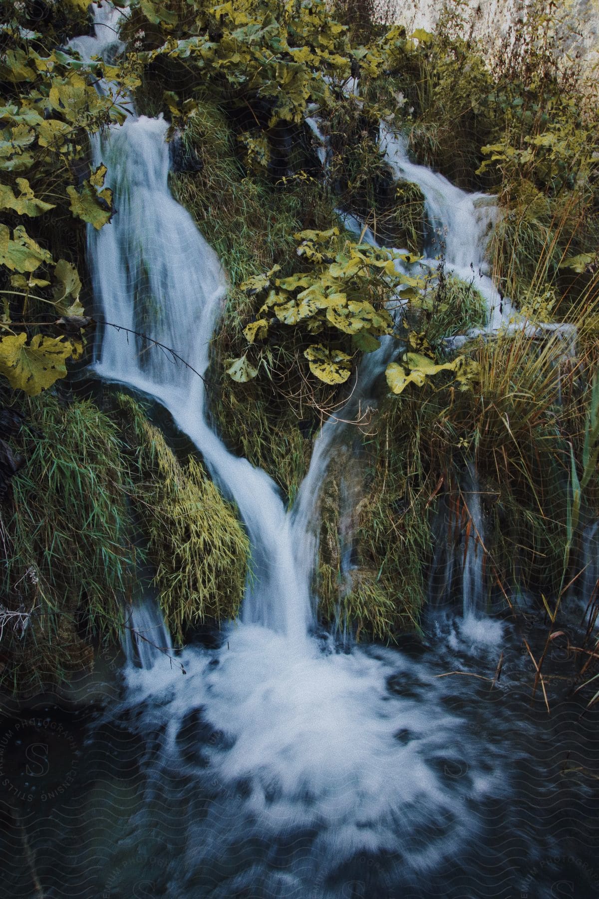 A small waterfall on a stream in the forest.