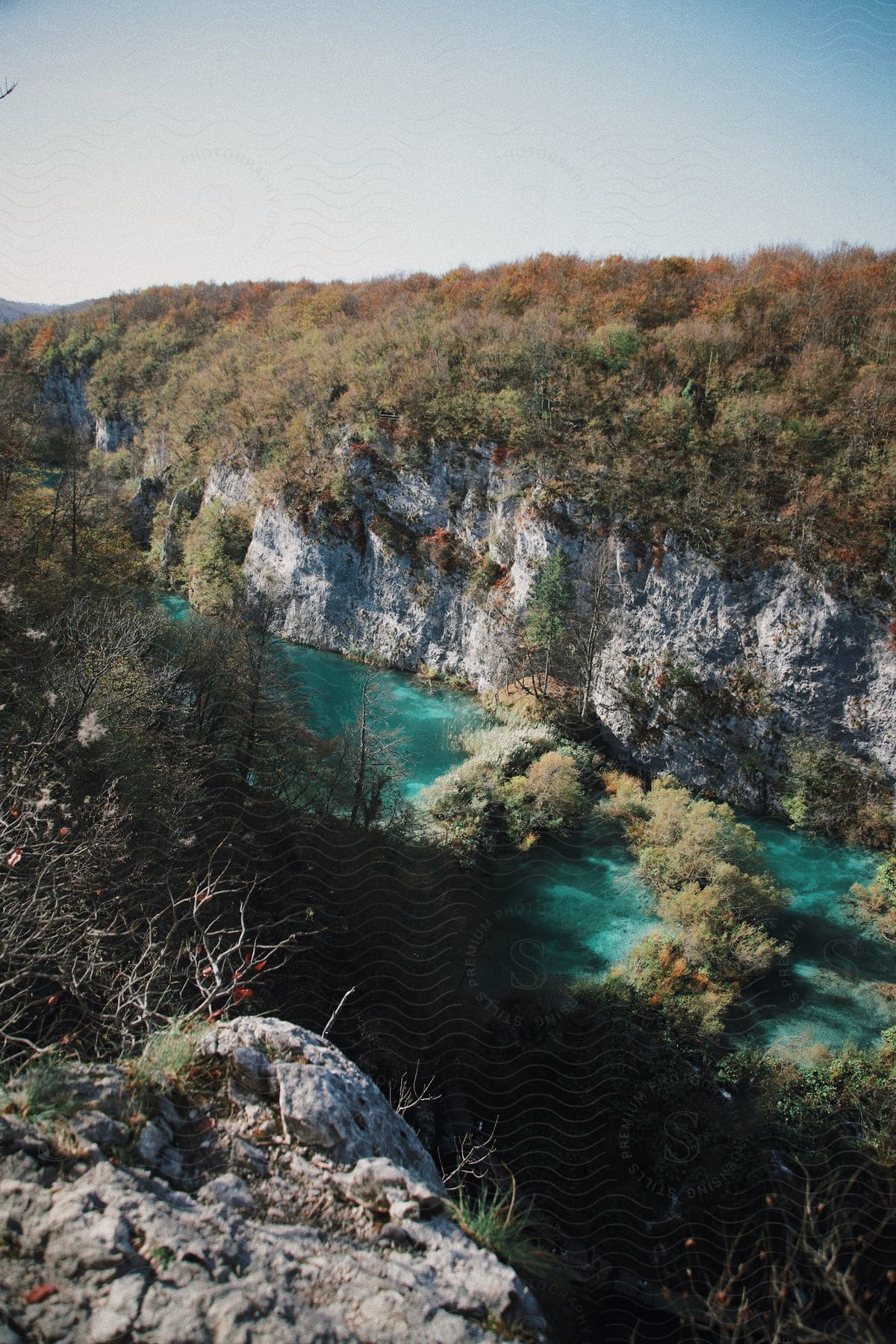 river flows through rocky canyon, trees with leaves turning color