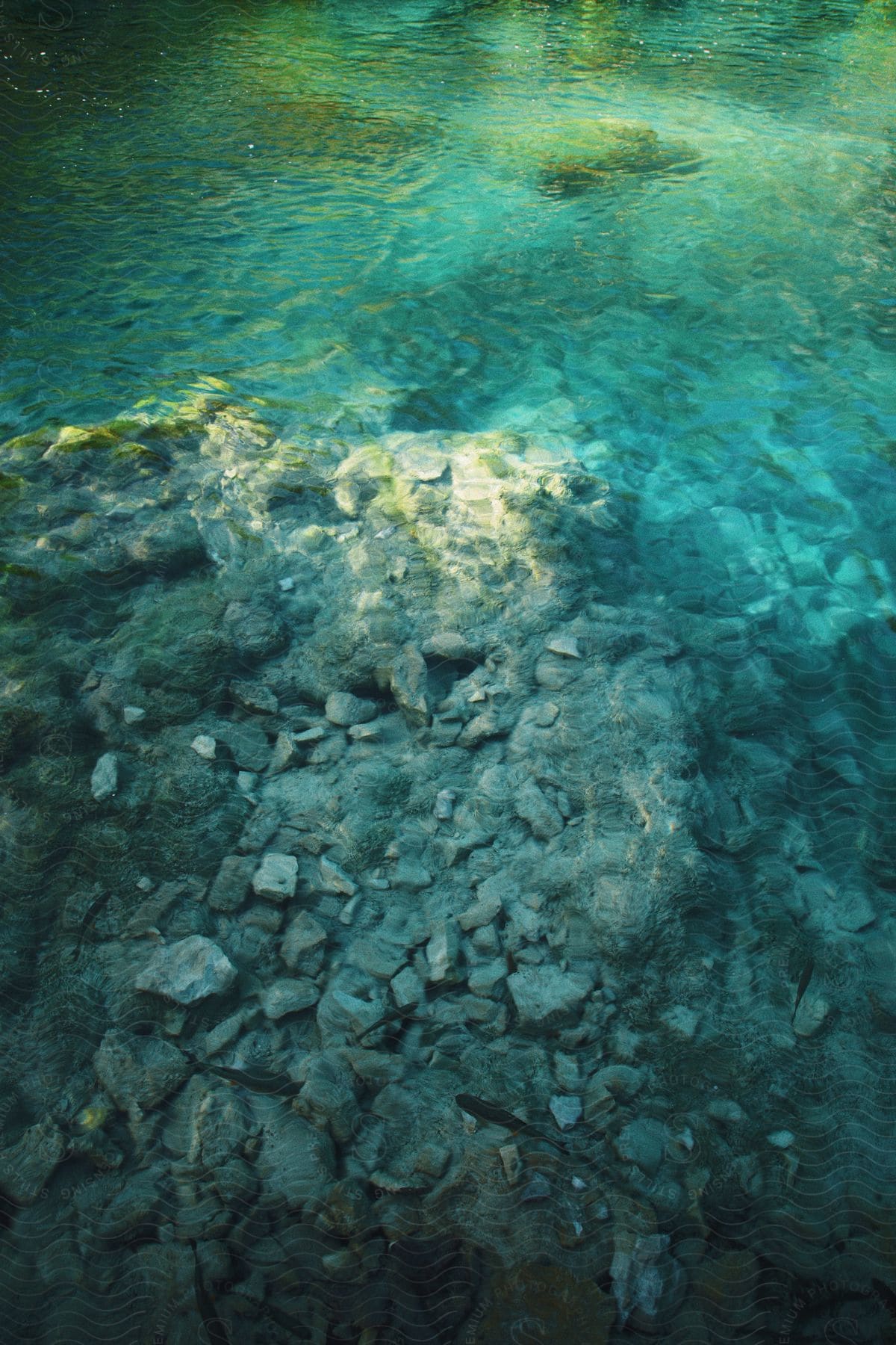 Shallow clear water near the coast