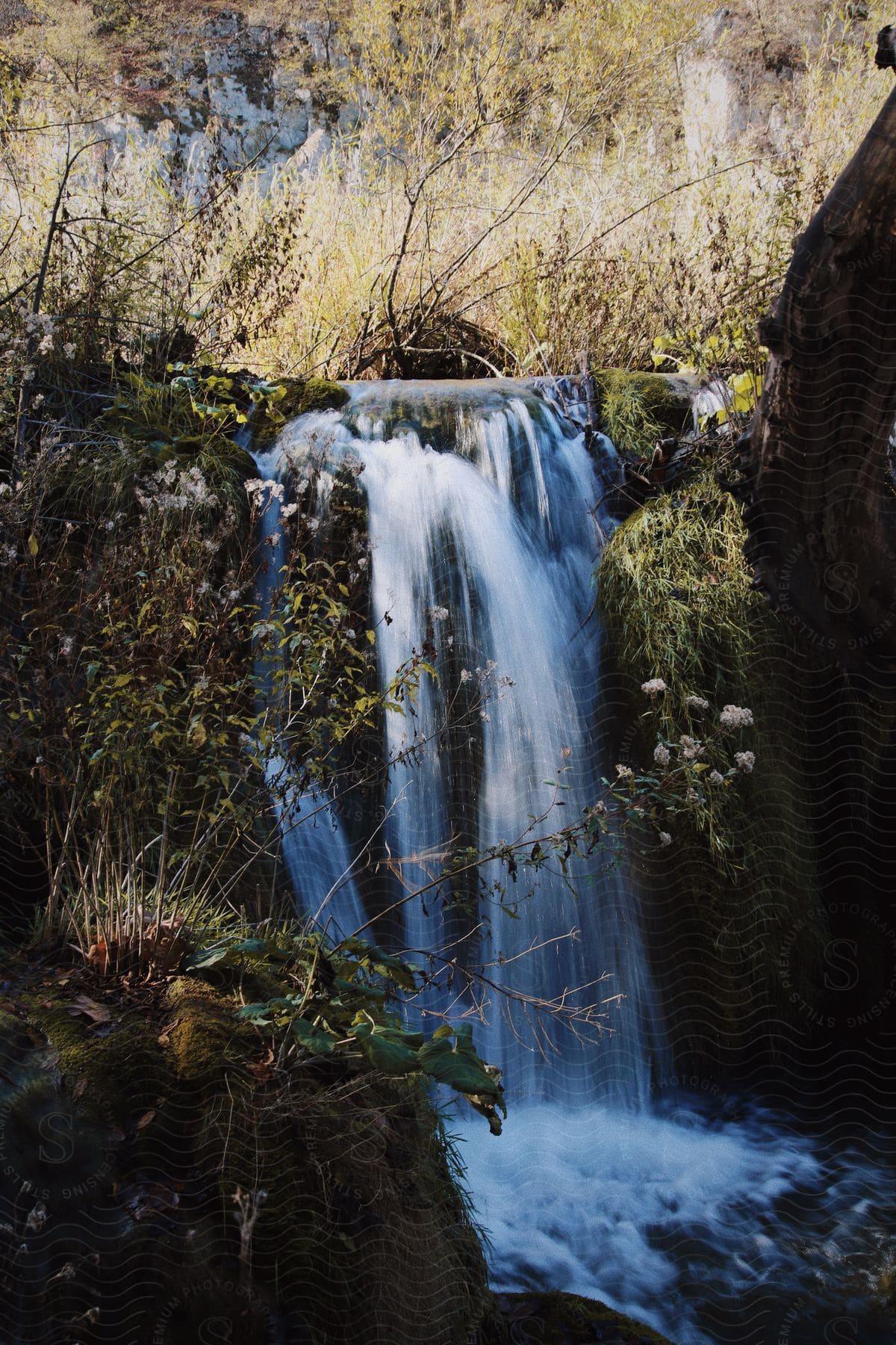 Waterfalls flow over a bank in the woods as trees reflect on the water in the pond