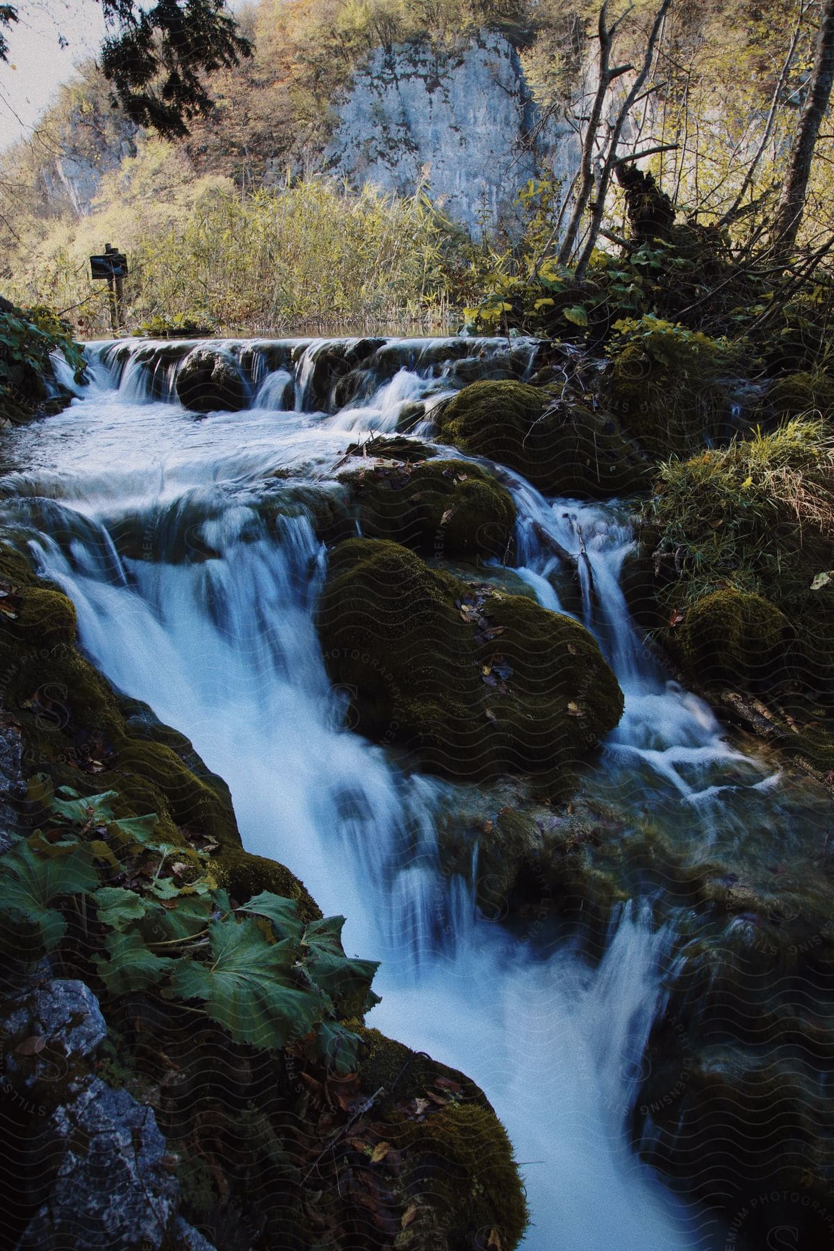 Waterfalls flow over a rocks in the stream surrounded by plants and vegetation