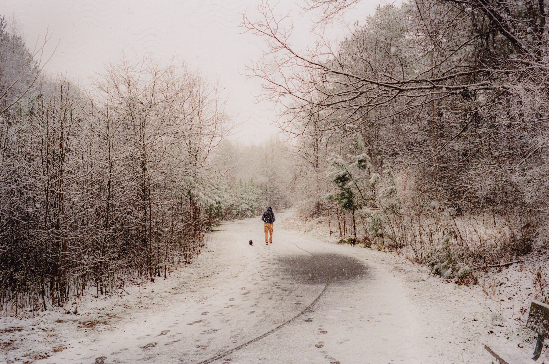 A man and his dog hiking down a snowy street through a forest.