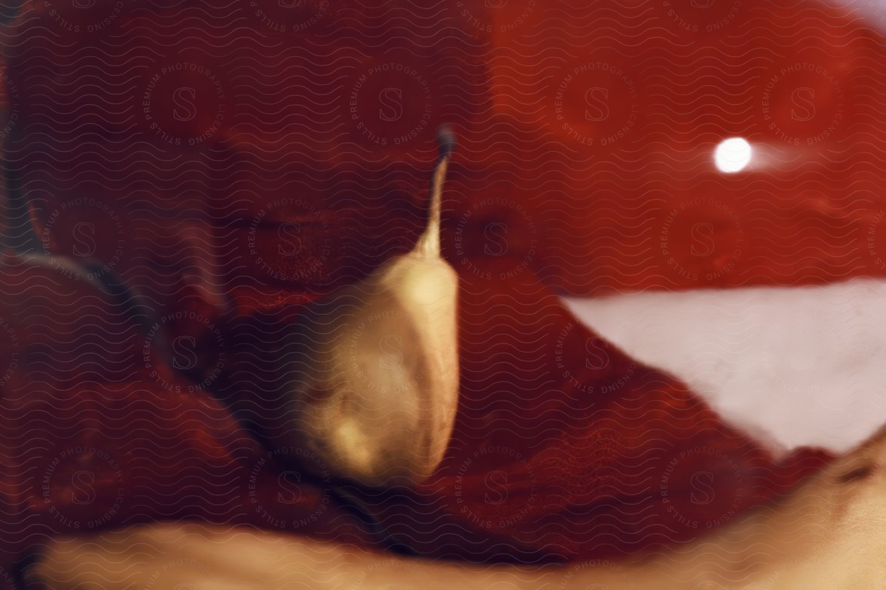 Pear sits in reflective scallop edged brown glass dish.