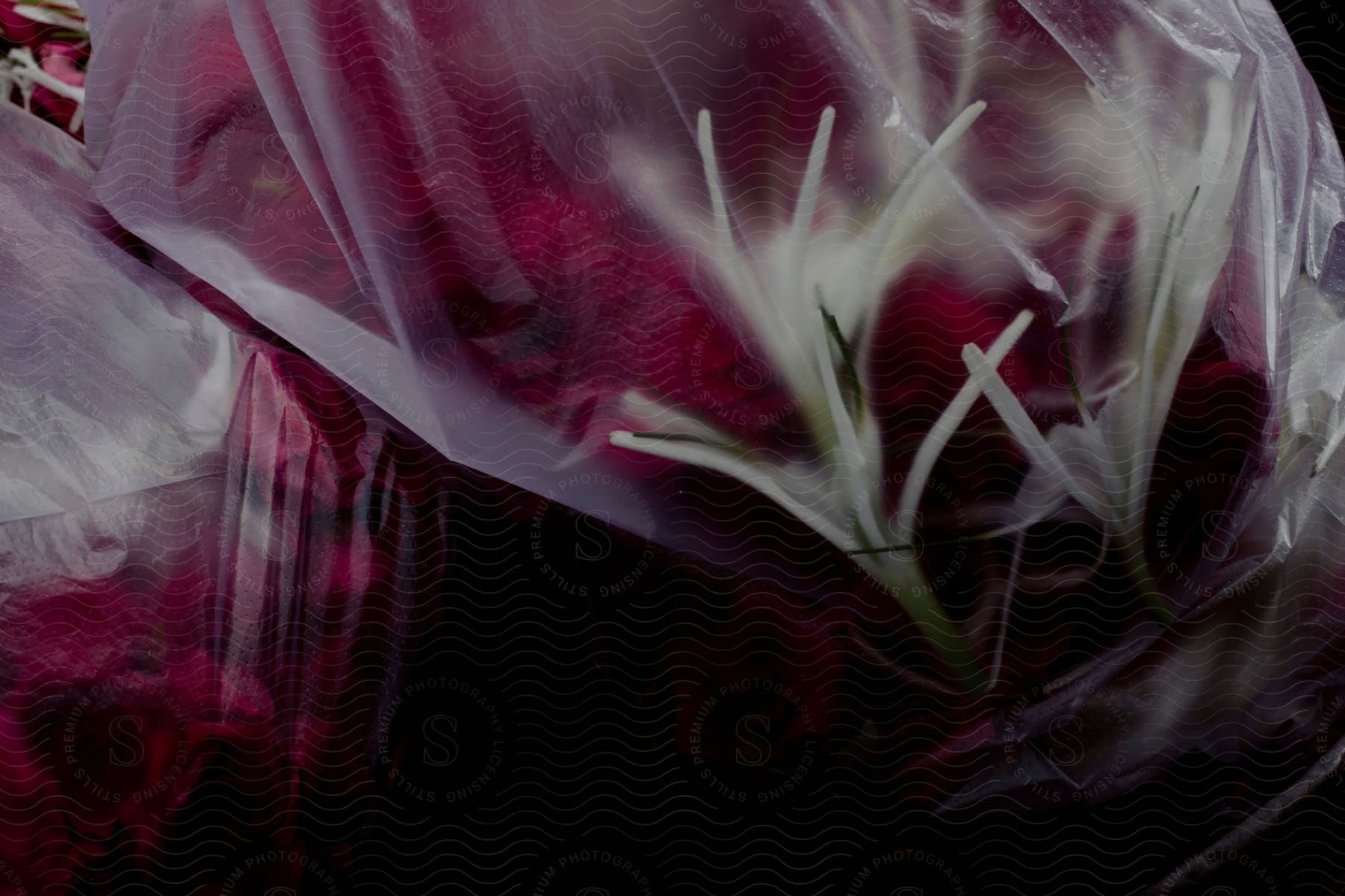 a close-up of white and red flowers in a plastic bag