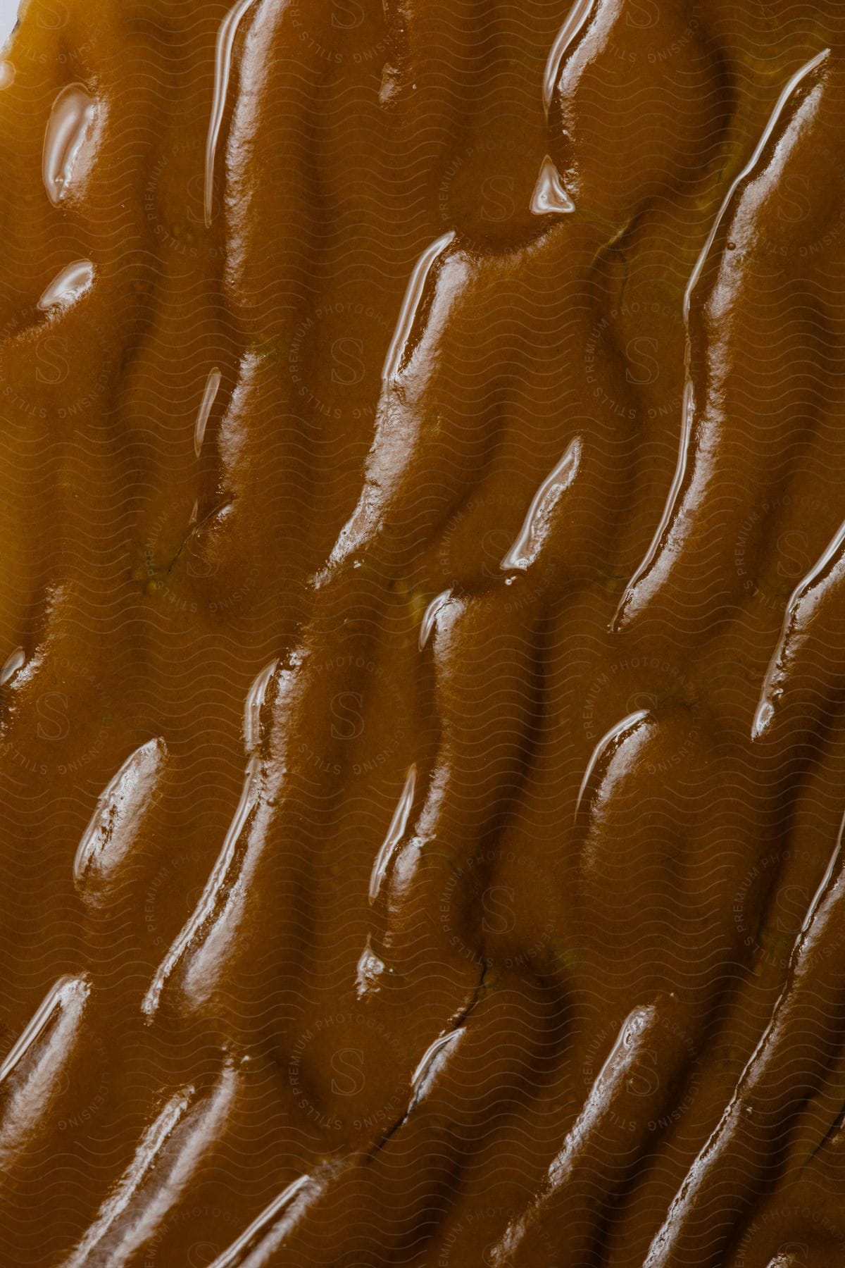 Extreme close-up of a brown giant kelp.