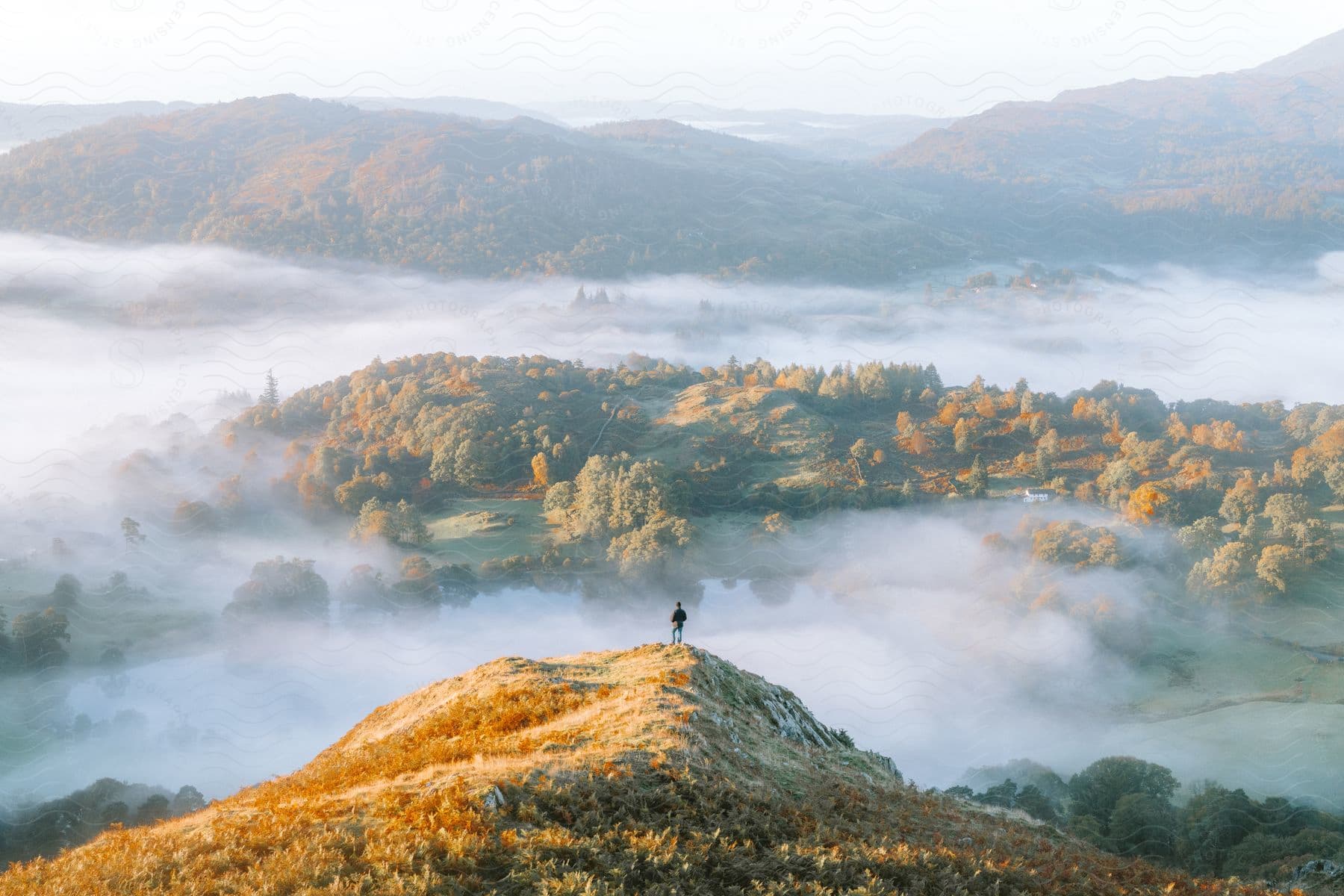 A man standing on a mountain overlooking a fog-covered forest.