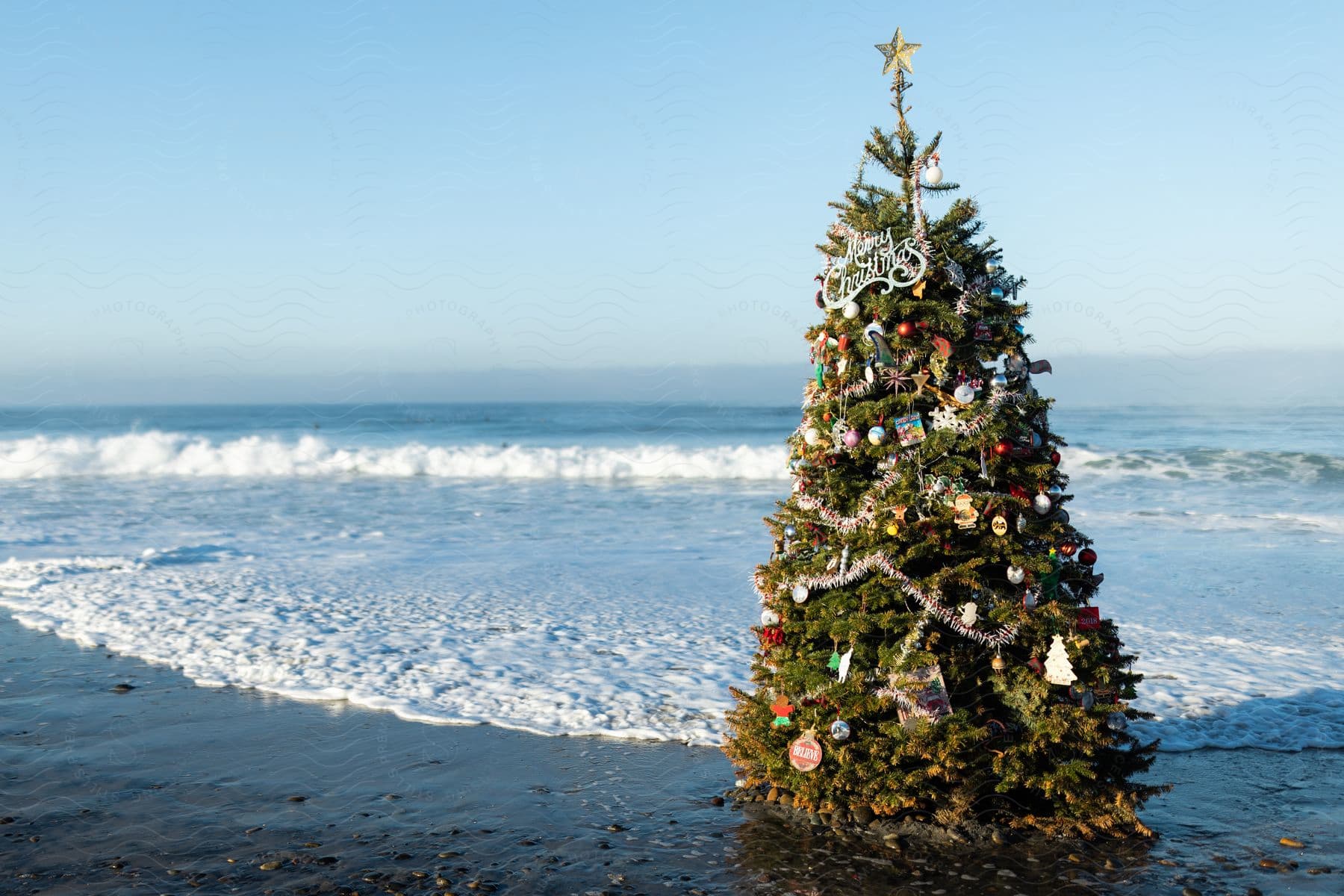 A Christmas tree erected on the beach, its festive lights shimmering as the waves crash along the shore.