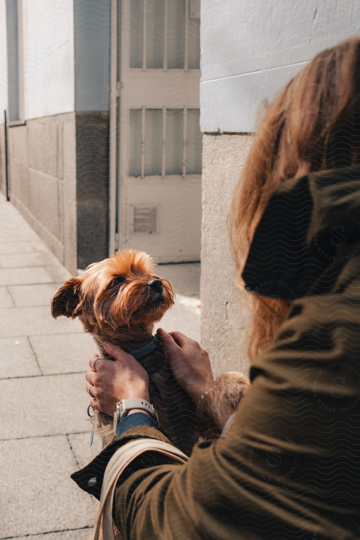Woman with brown hair and a dark green coat pets a small brown dog near a building
