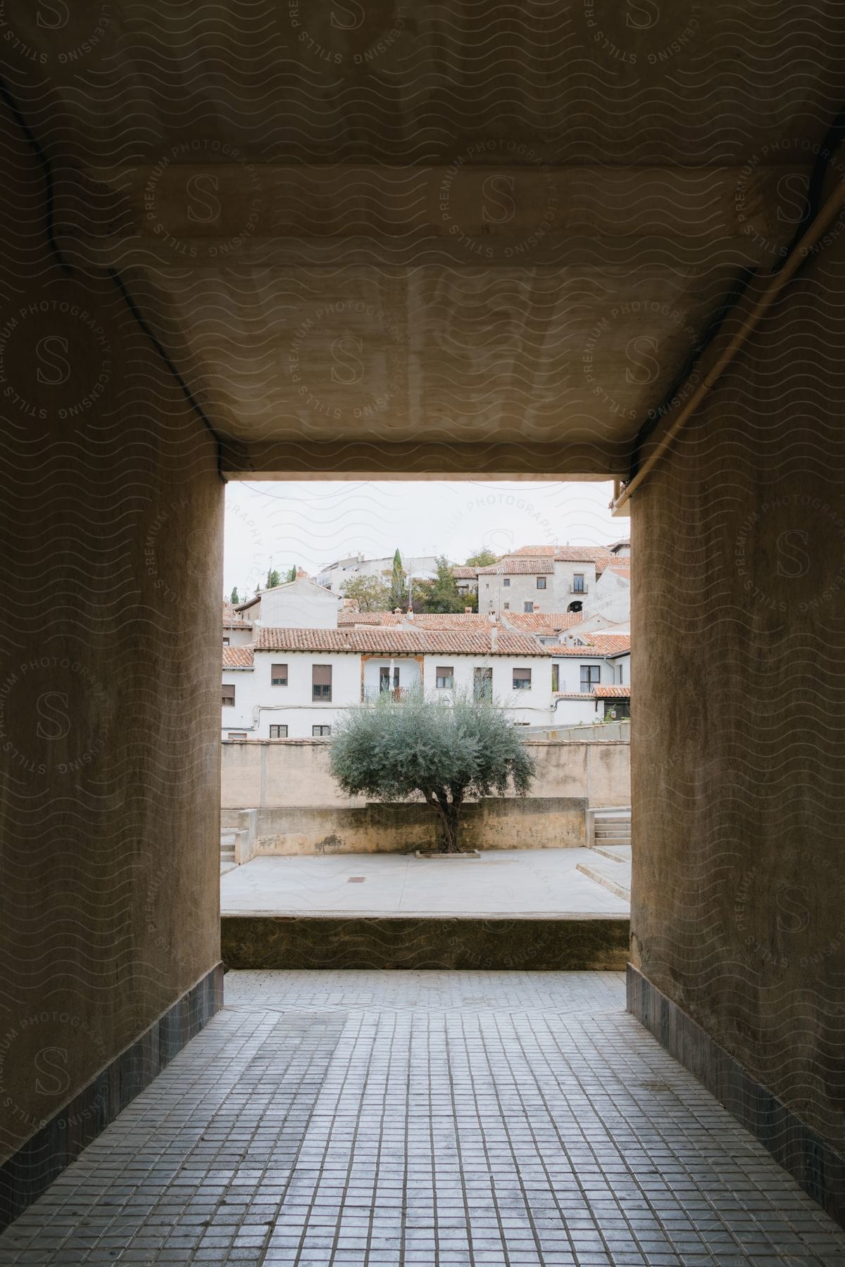 A tunnel opening reveals a view of a tree with distant buildings in the background, creating an intriguing and picturesque scene.