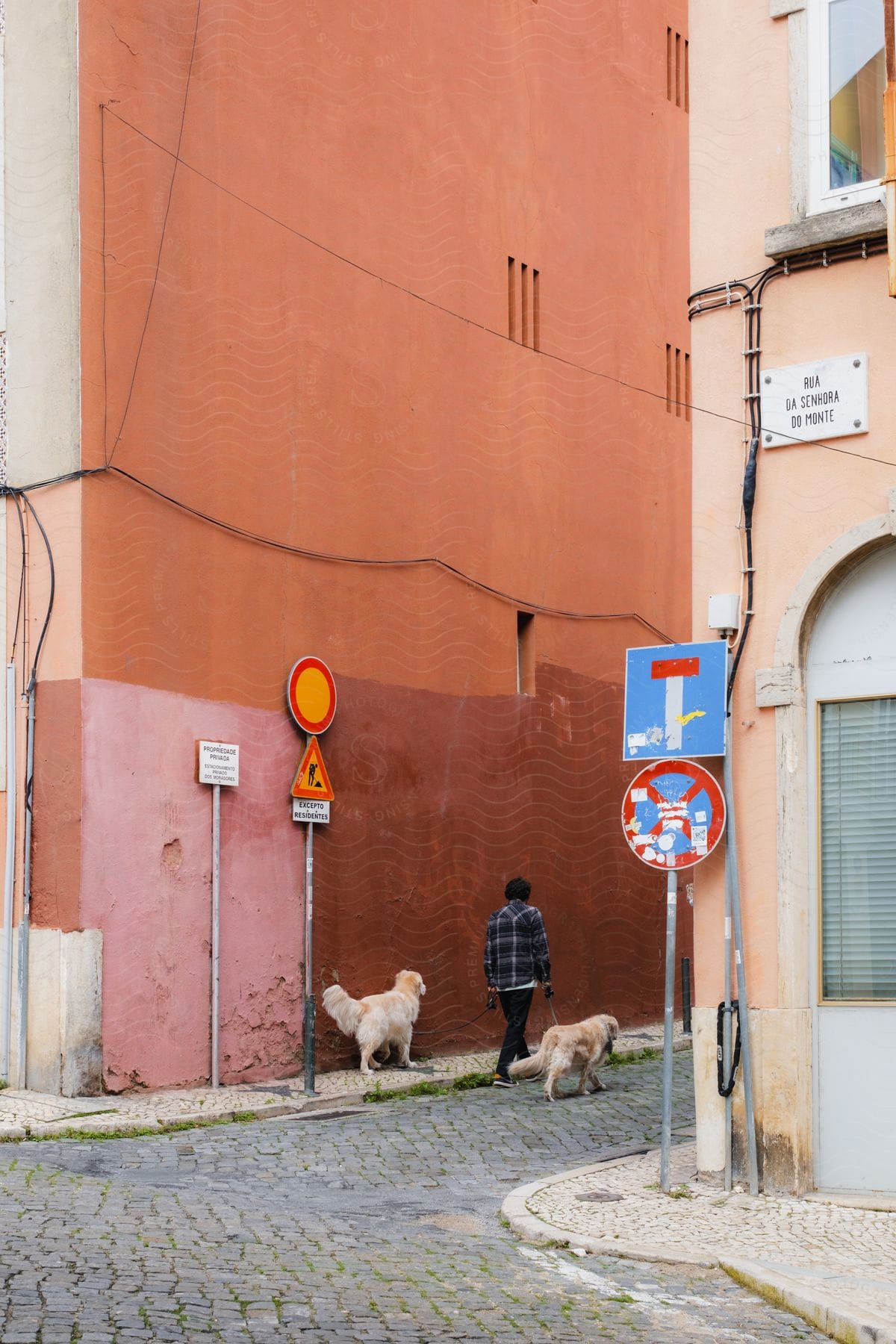 A man walking two dogs down the road in a city.