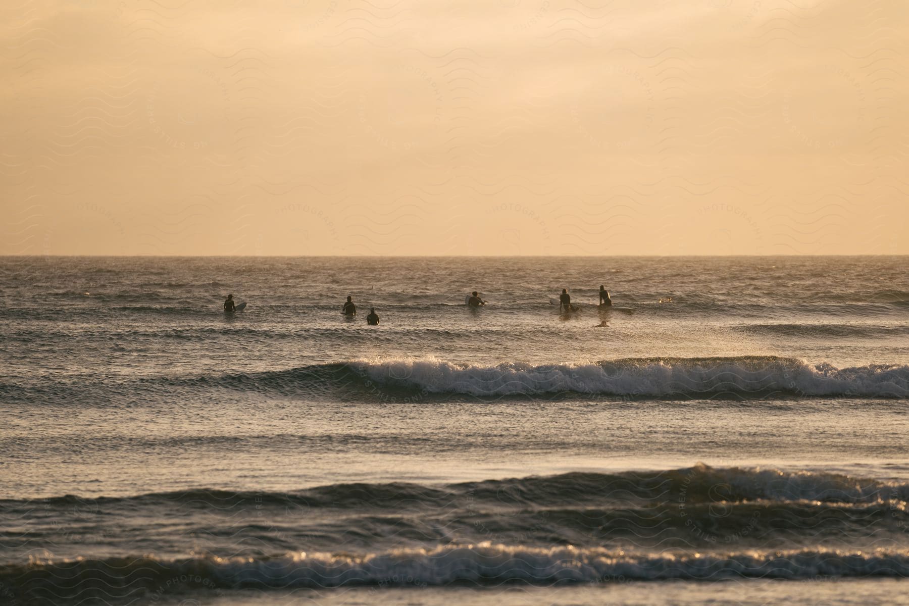 A group of surfers swimming and paddling in water at sunset