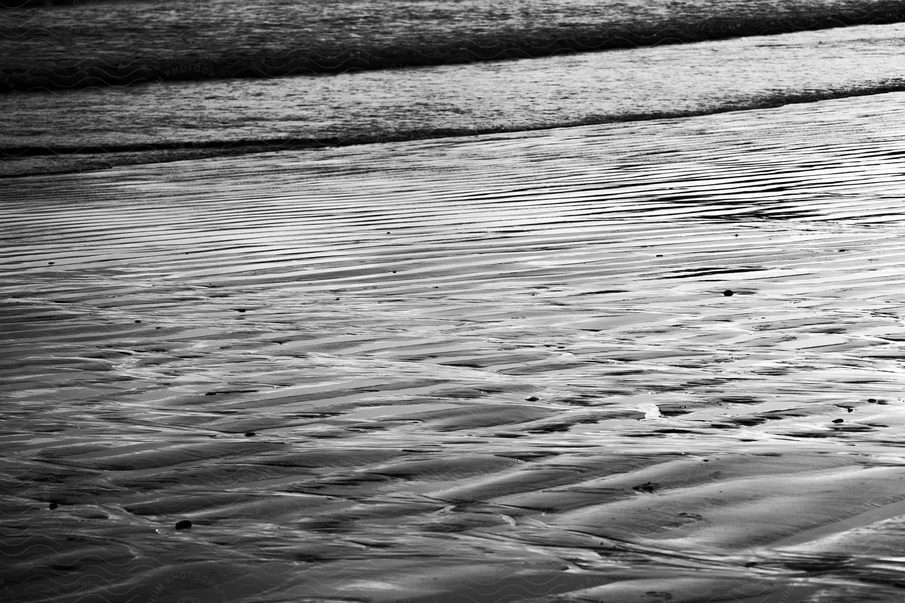 View of the beach sand wet with the sea, featuring calm waves in a black and white photograph.
