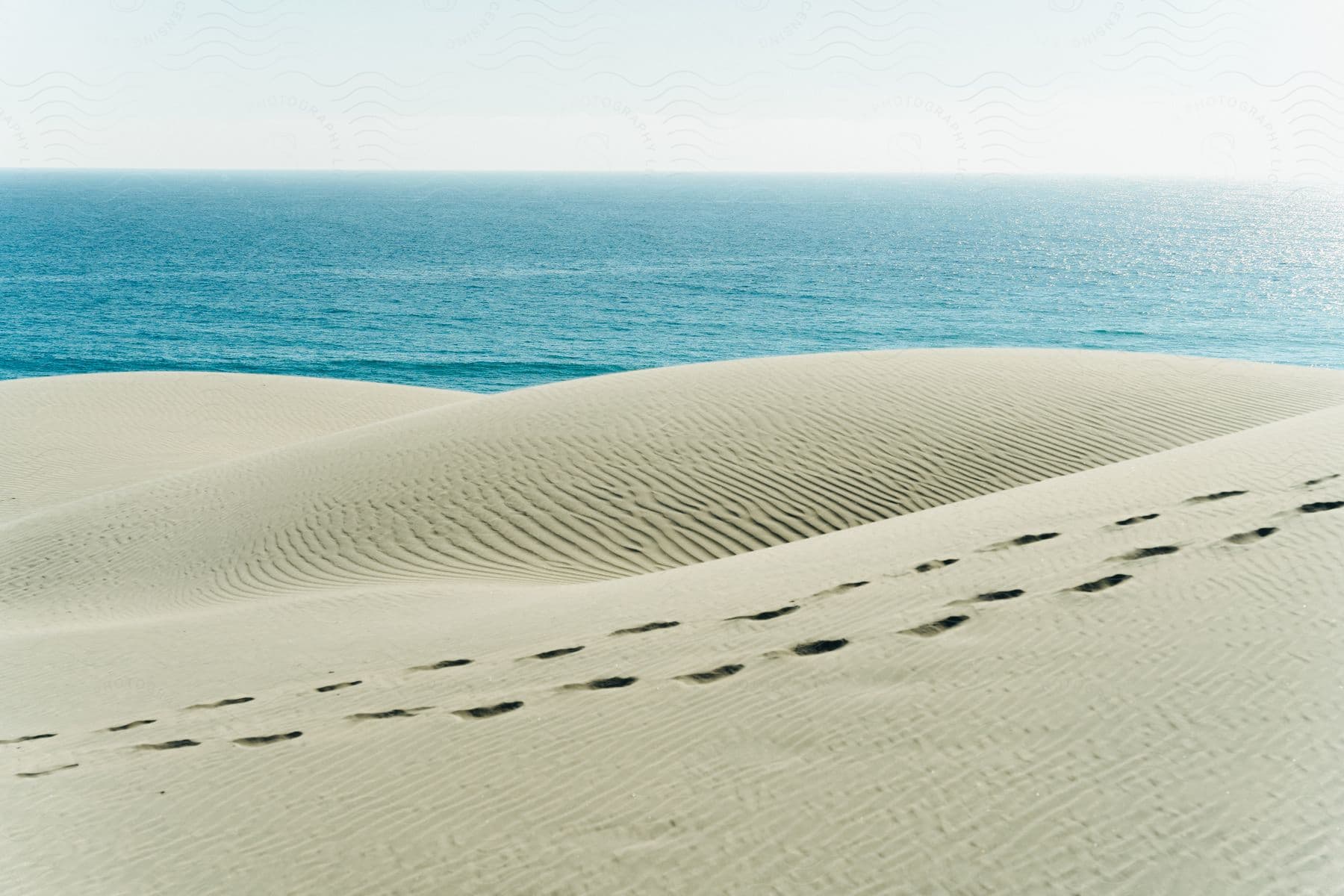 Footprints On A Sand Dune Near The Ocean