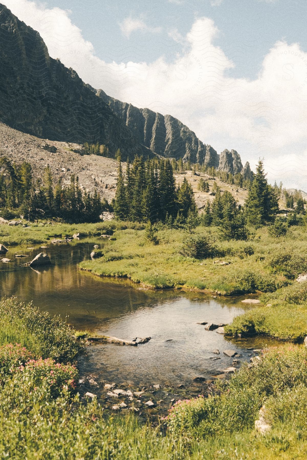 a stream in an open area surrounded by grasses with a mountain seen from a distance