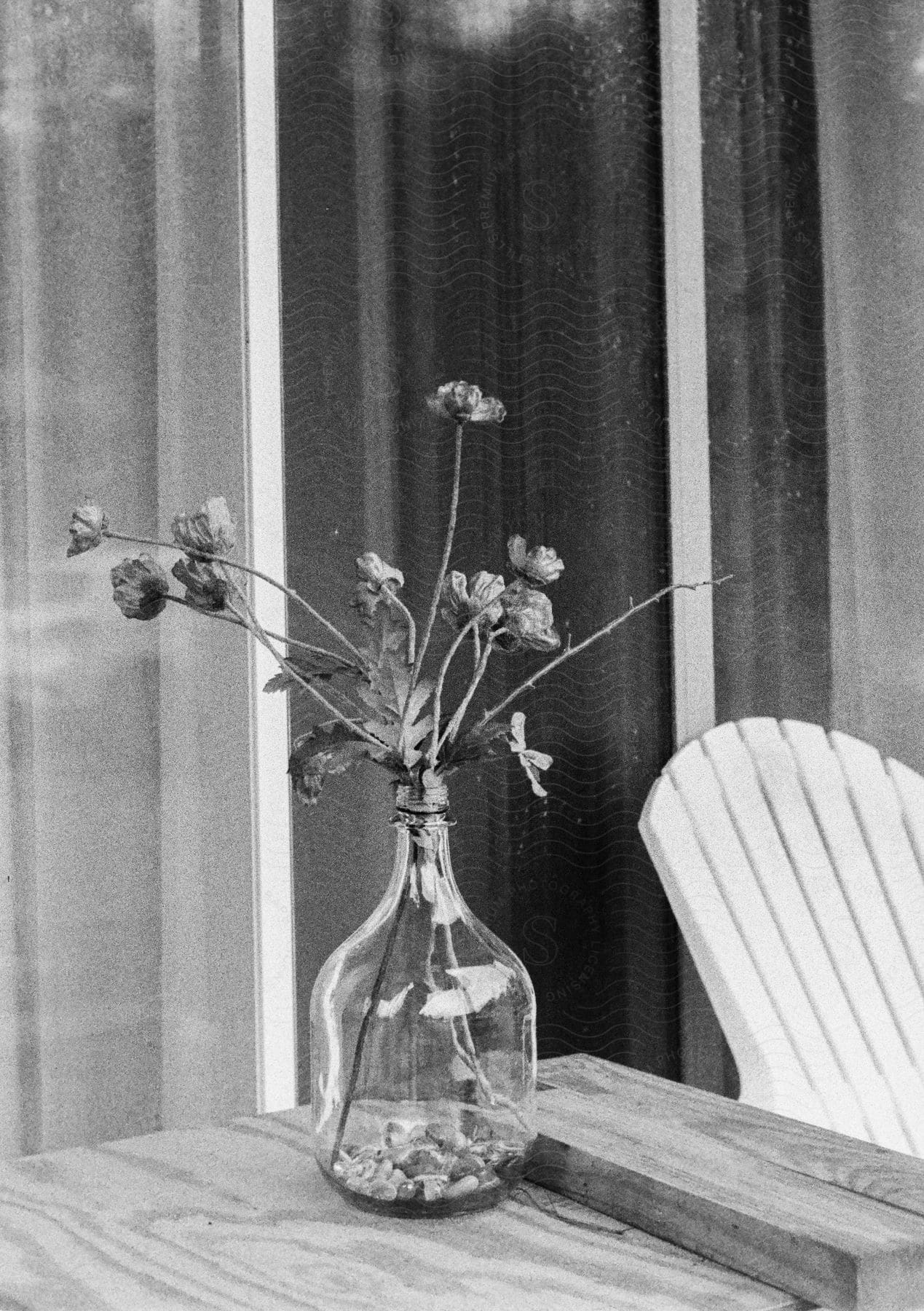 black and white still life flowers in glass vase near chair