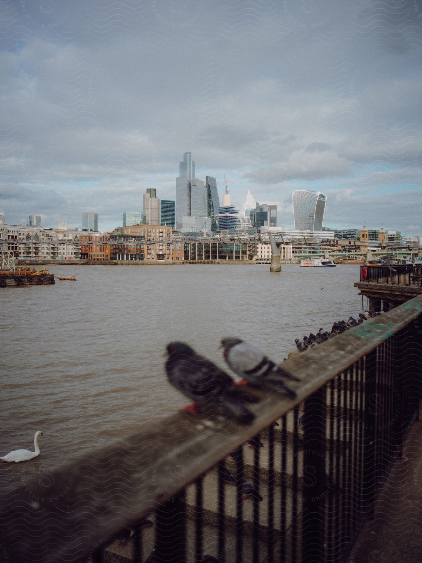 Stock photo of two doves are sitting on a metal fence next to a canal and behind them is a large city