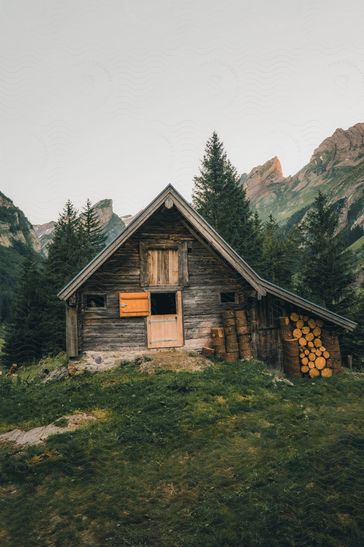 A wooden cabin in the middle of a forest with mountain range in the background.