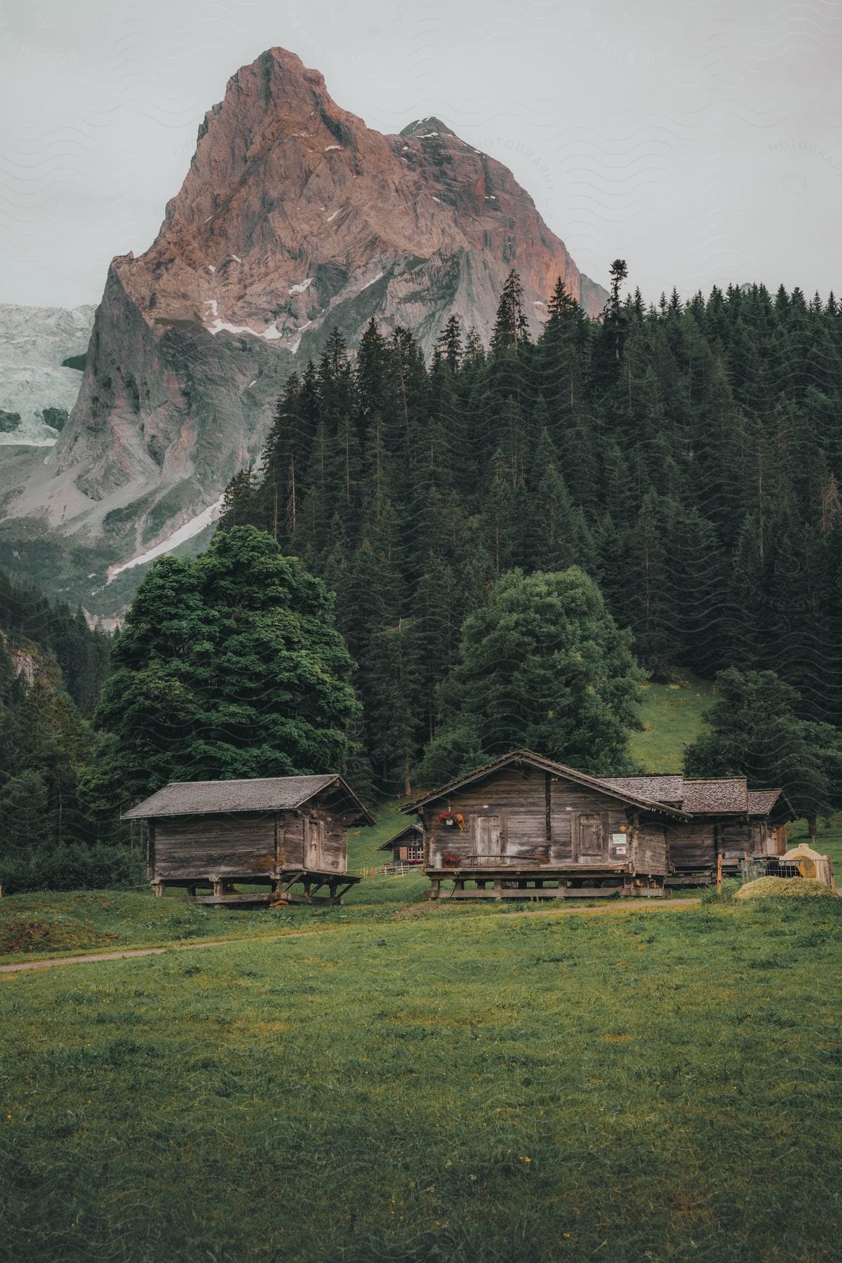 Houses at the foot of a forested mountain