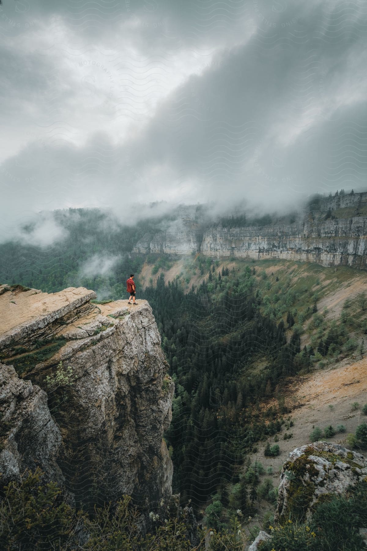 A hiker stands on the edge of a cliff overlooking a forested valley.