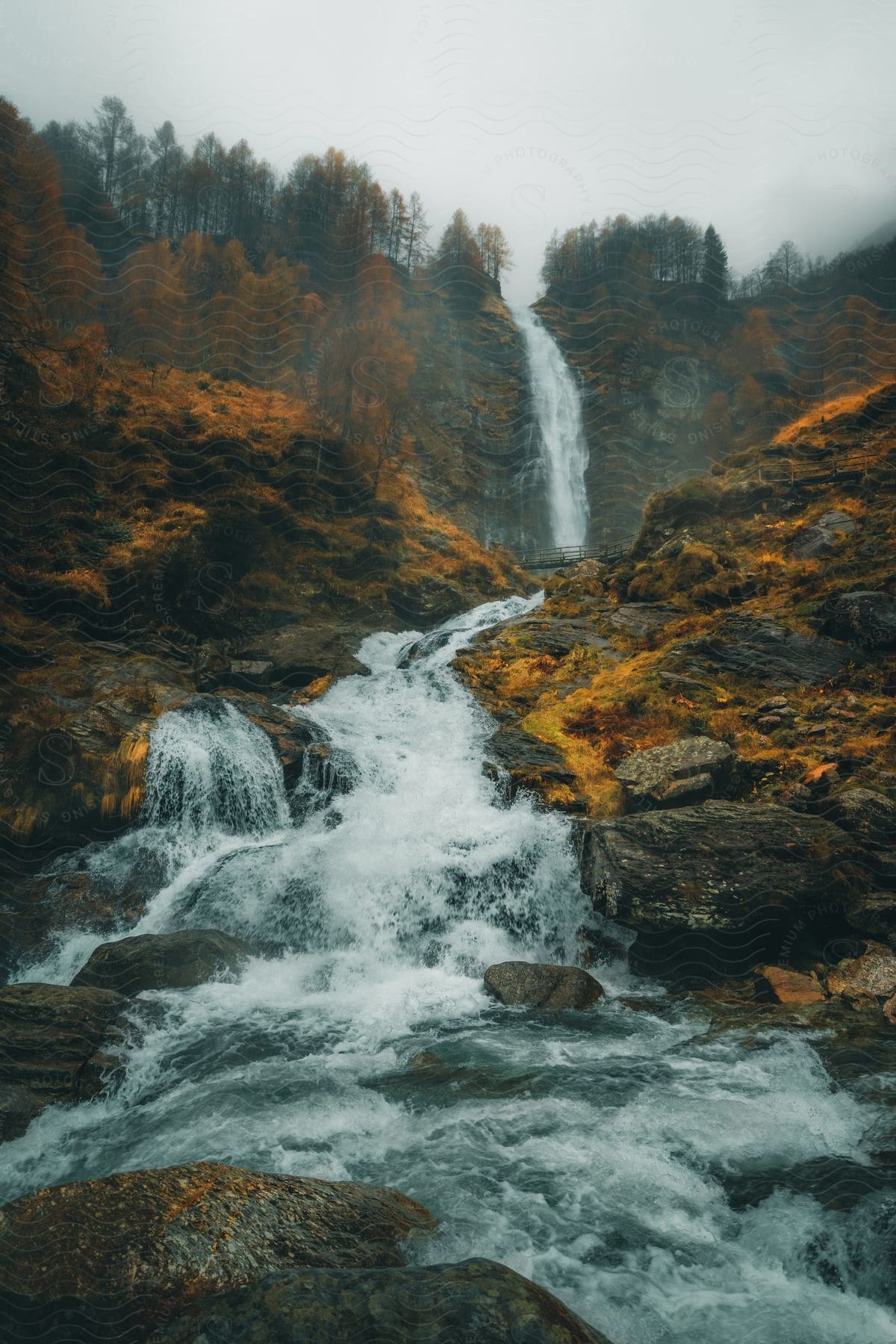 A river and waterfall flowing out in the middle of a forest.