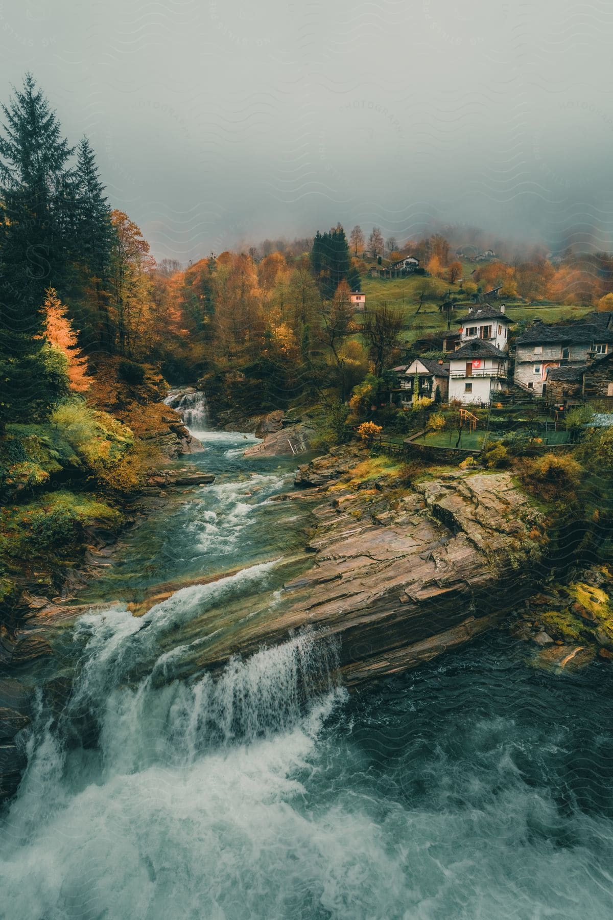 A natural area with a stream and a small waterfall and some houses nearby