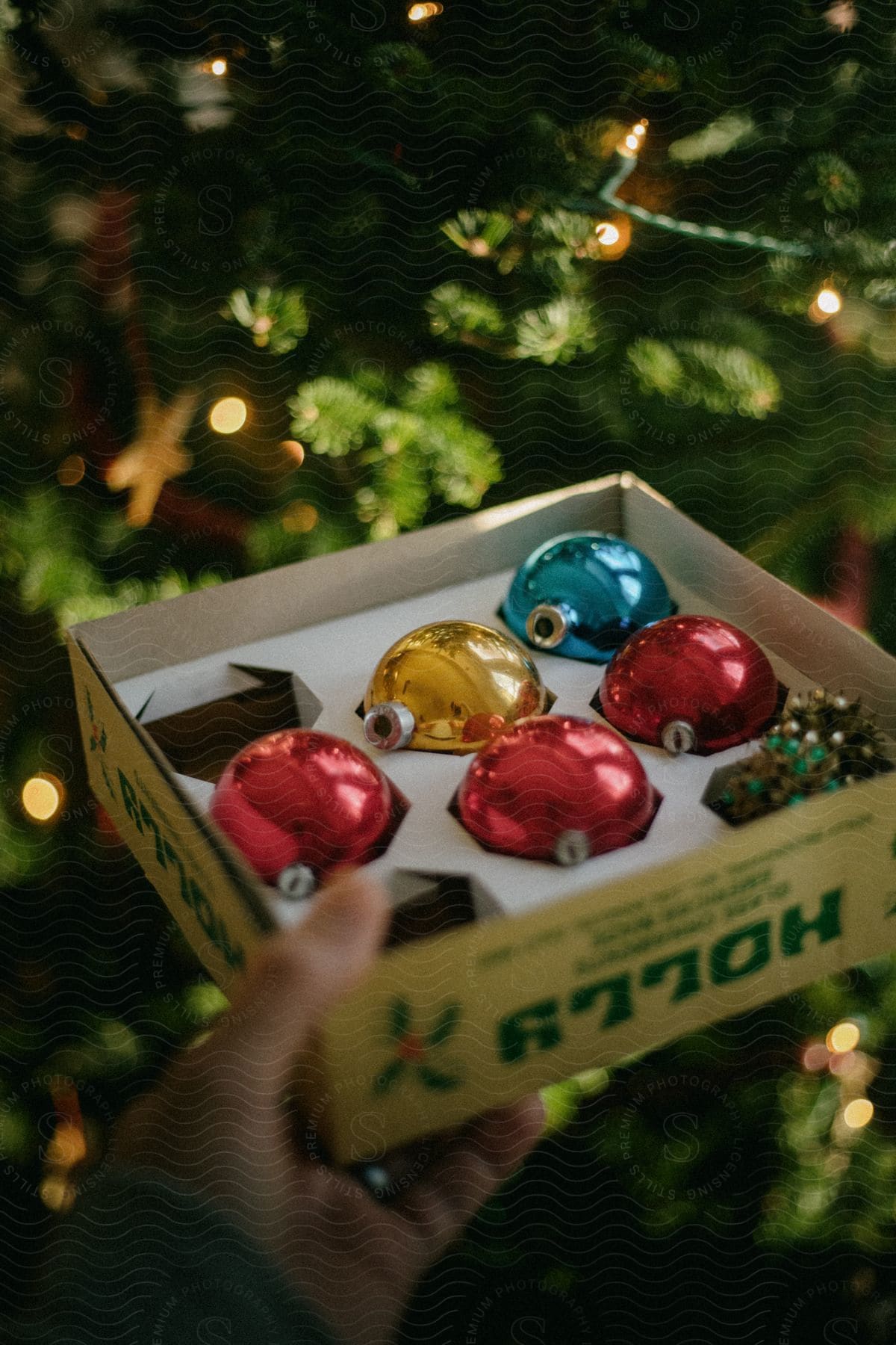 A woman holding a box of ornaments in front of a tree.