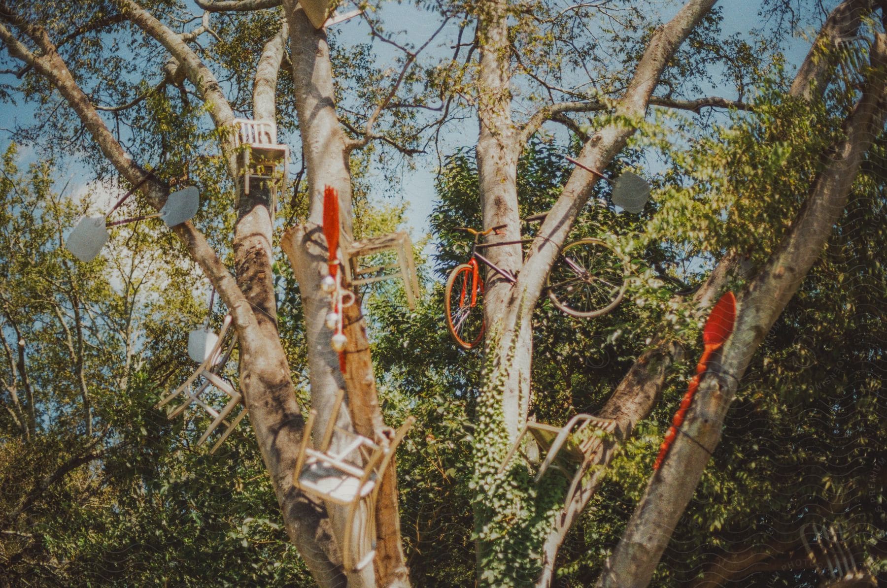 A tree festooned with bikes, chairs, bags, a red bicycle, and an orange shovel.