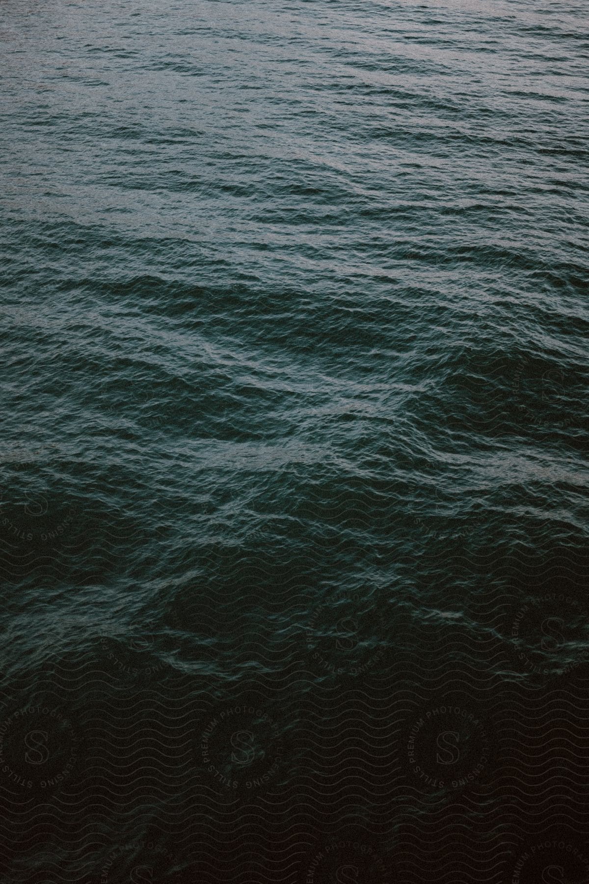 Vast and dark, the ocean stretches infinitely, its surface an expanse of velvet etched with endless, whispering ripples.