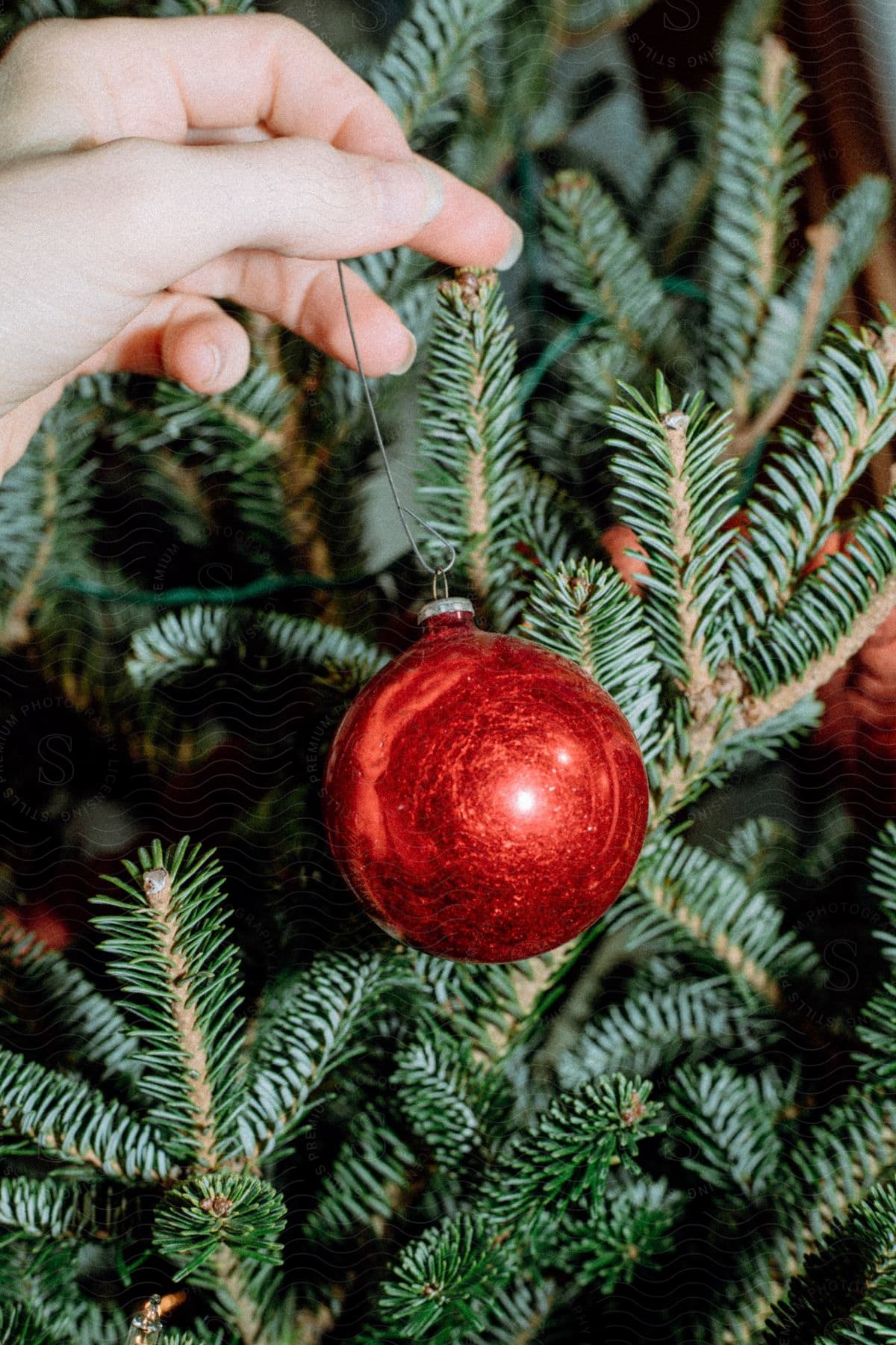 Close up of woman’s hand decorating Christmas tree