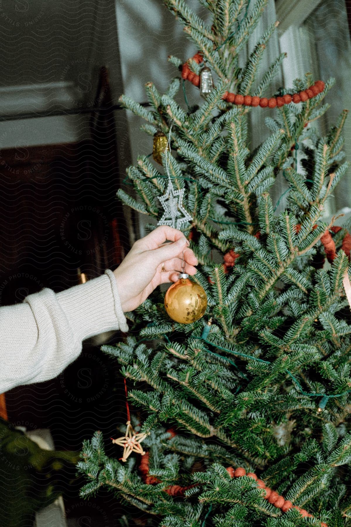 A human hand placing a golden colored decoration ball on a Christmas tree