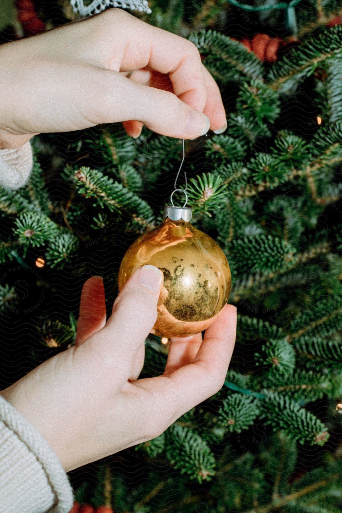 A person hanging an ornament on a christmas tree.