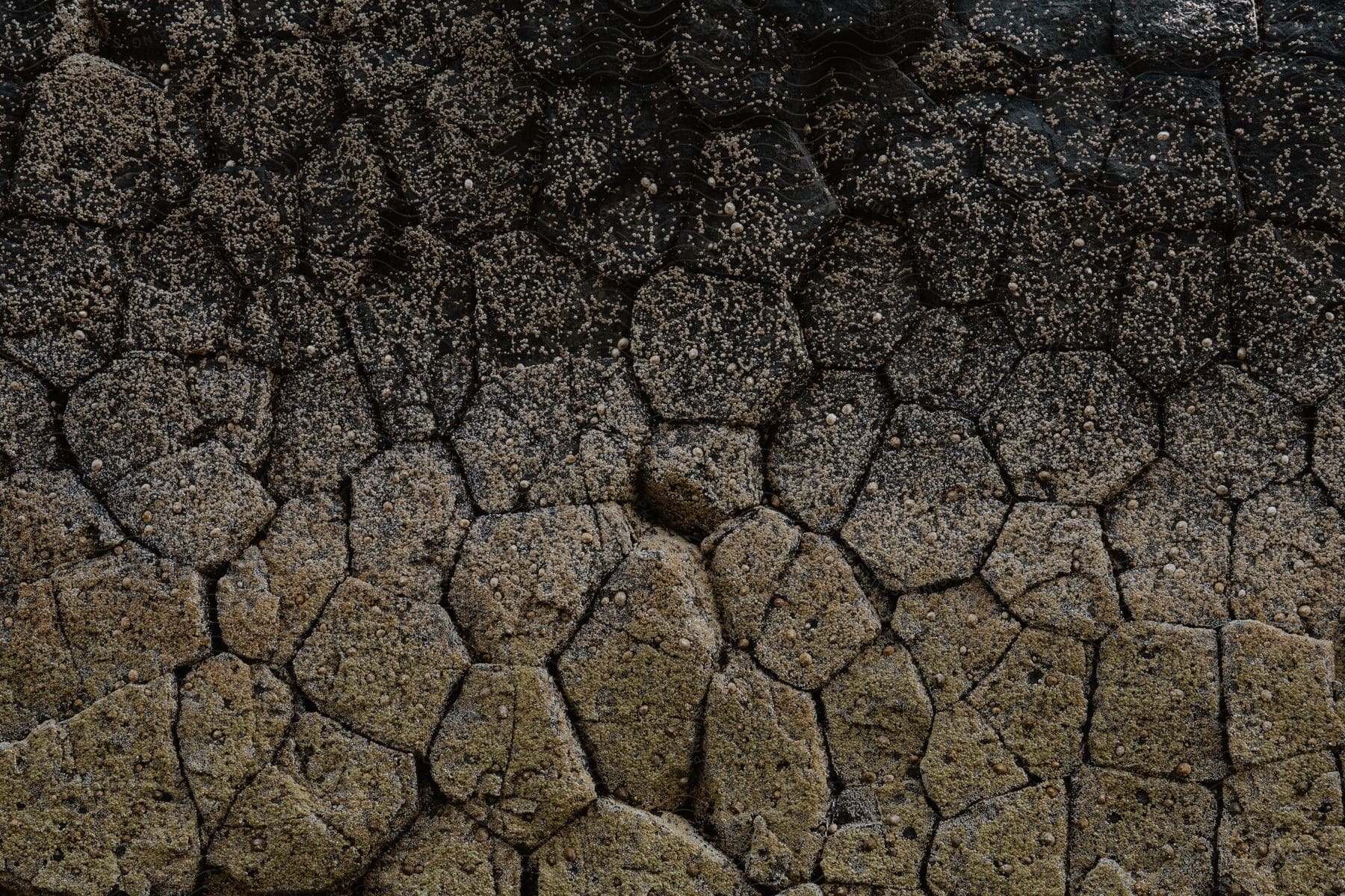 A natural wall of rocks with several different shapes