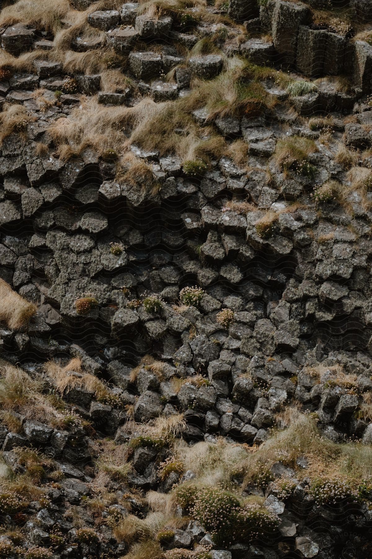 Basalt rock formations