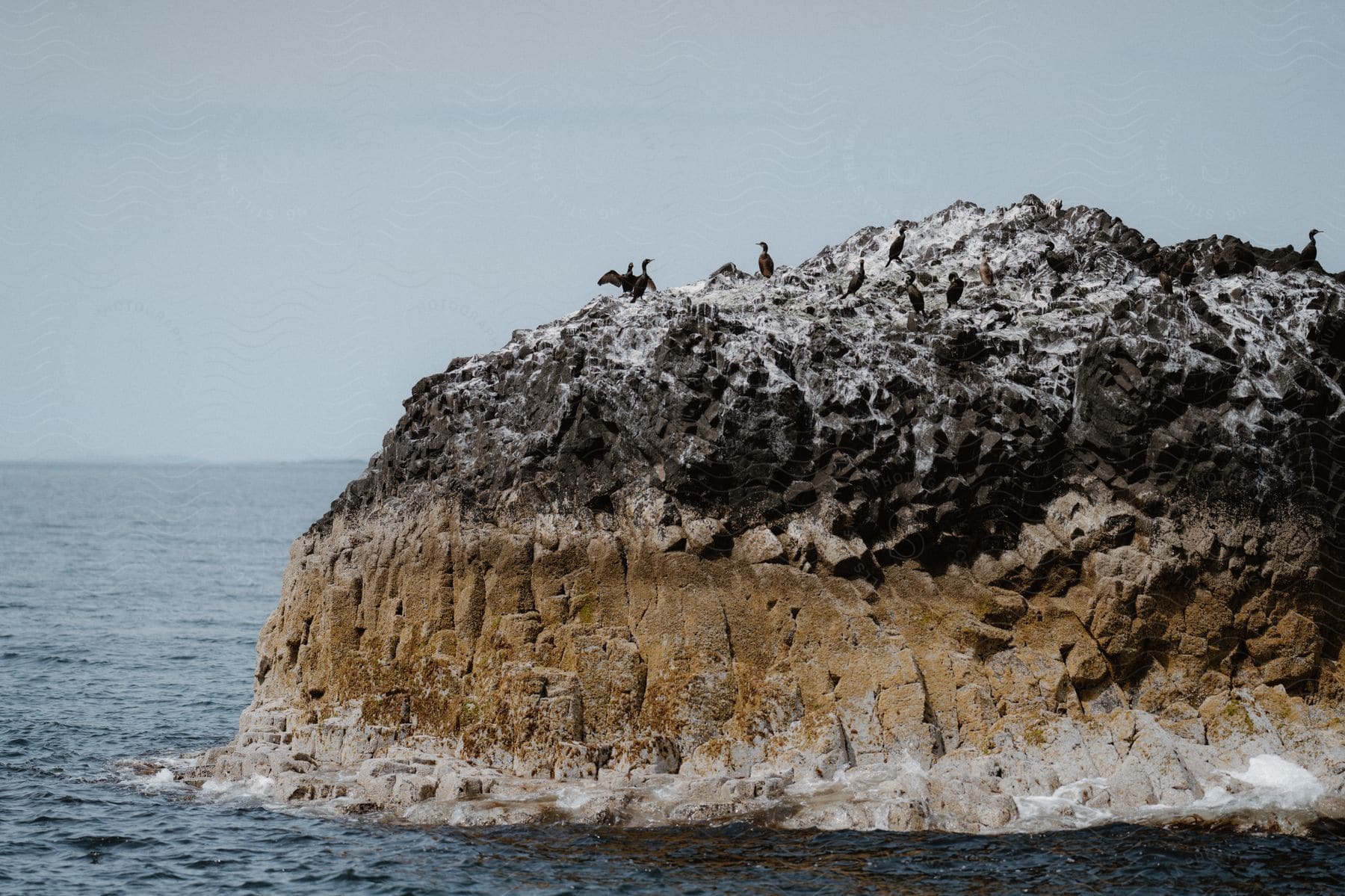 A small rocky island in the sea and some birds on the rocks