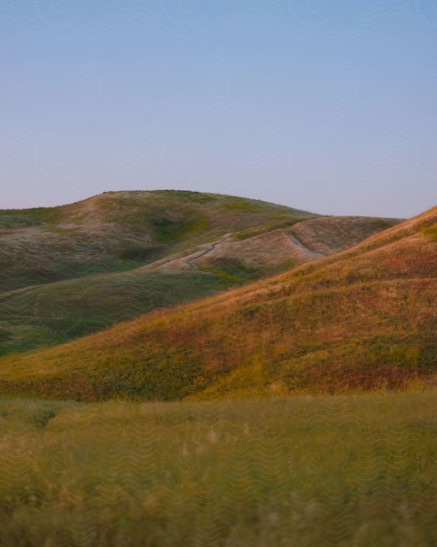 Landscape of brown and green hills