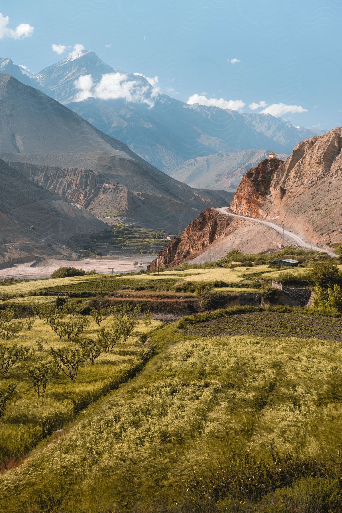 High mountain peaks with a few clouds in the background, with an orchard and farmland in the foreground, and in-between, there is a road curving around up into the mountains.