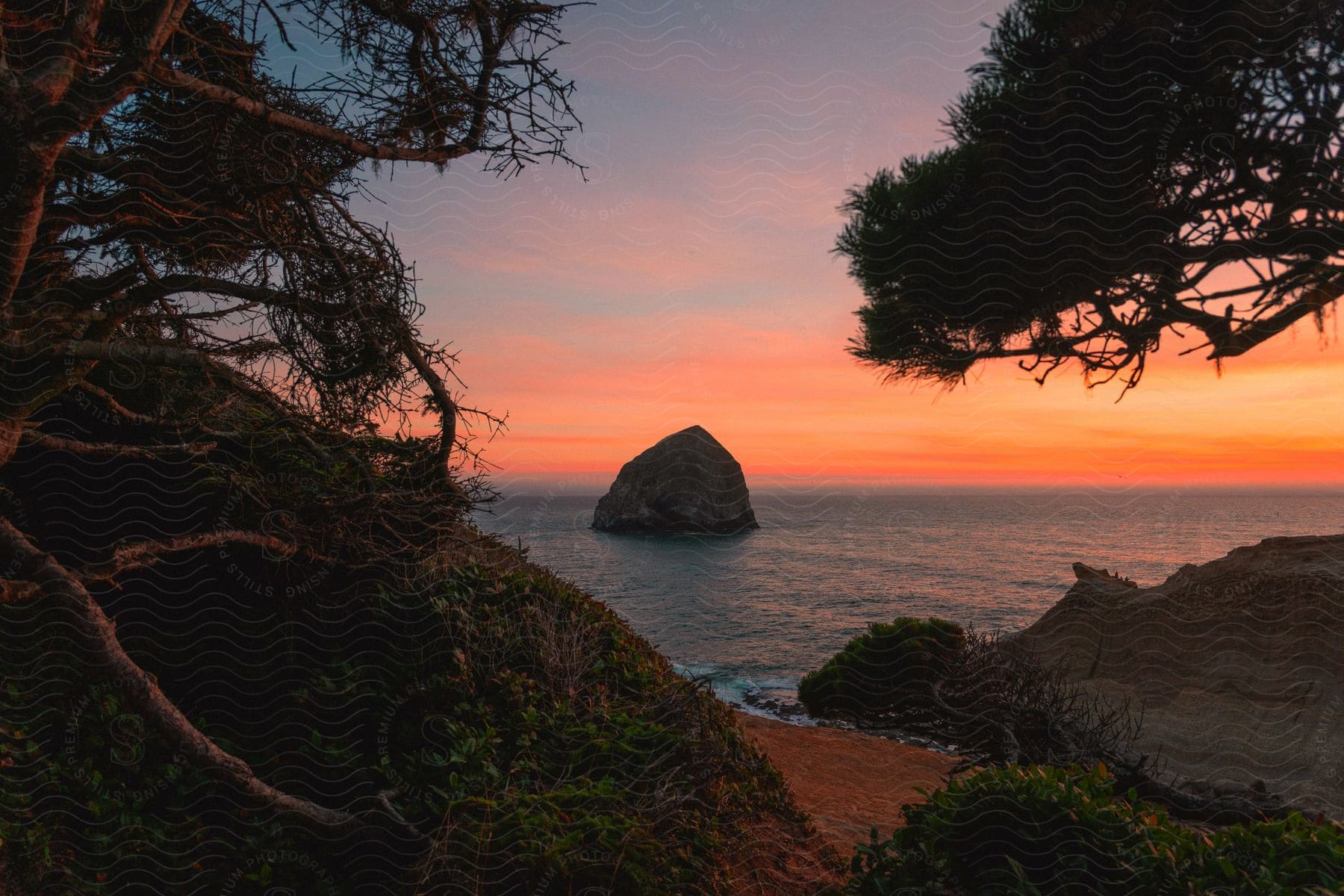 Trees grow on a promontory along the coast with large rocks in the water as the sun sets