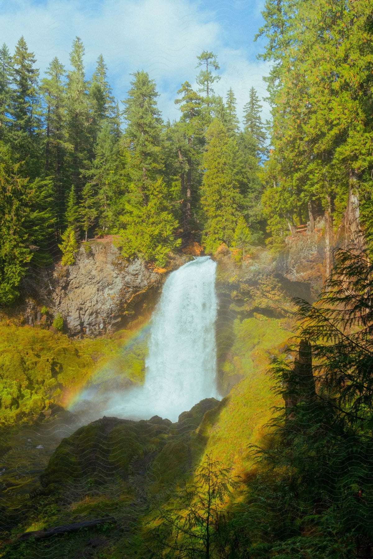 Waterfall in a forested area with a rainbow in the mist, under a sunny sky.