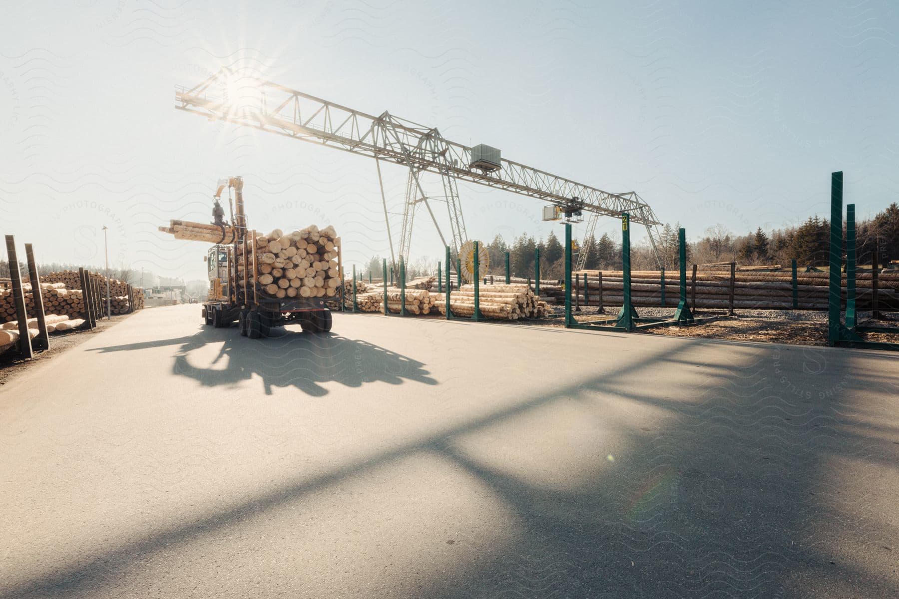 A crane truck is loading logs in a lumber yard under a large gantry crane, with the sun casting long shadows on a clear day.