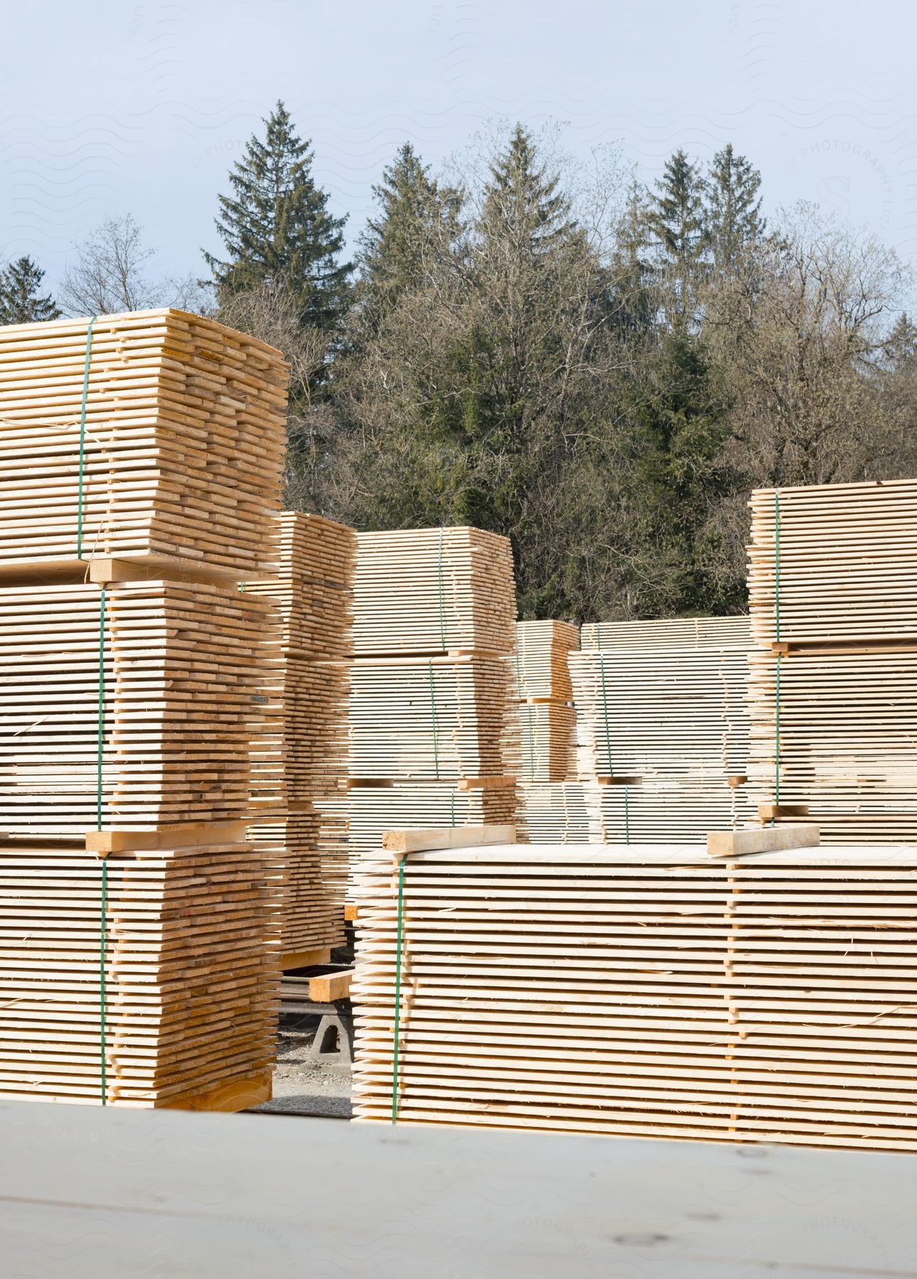 Stacked lumber at a storage yard with trees in the background.