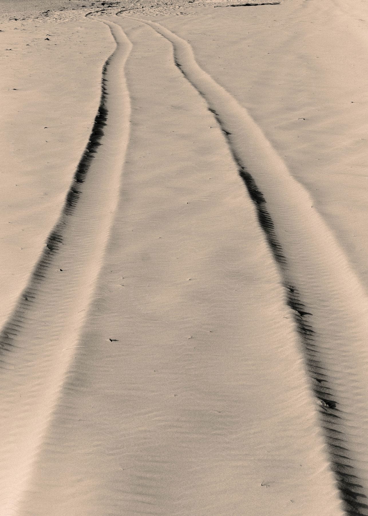 Twin tire marks etch across the sandy expanse.