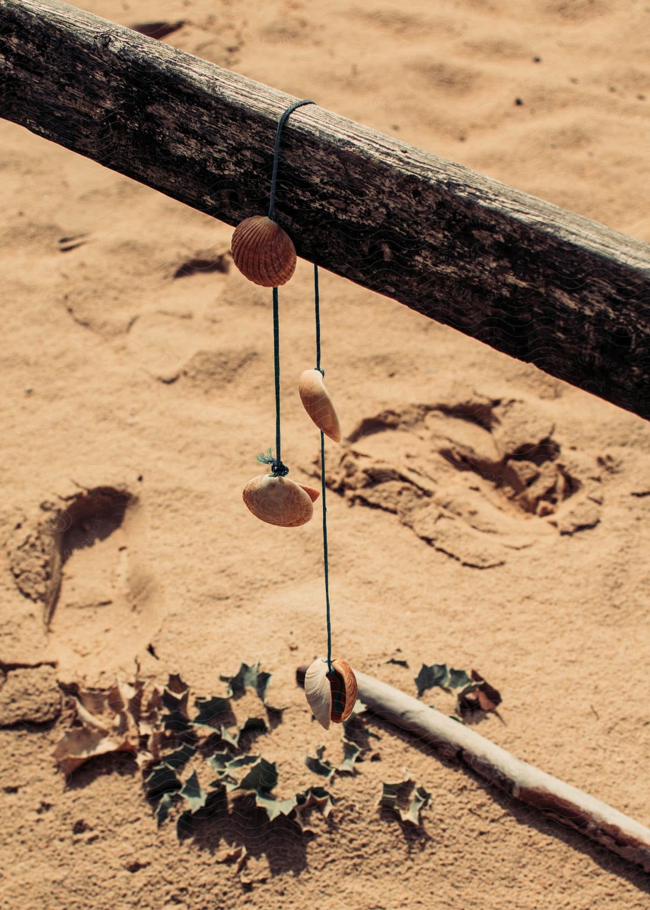 A shell necklace hanging from a wooden fence.