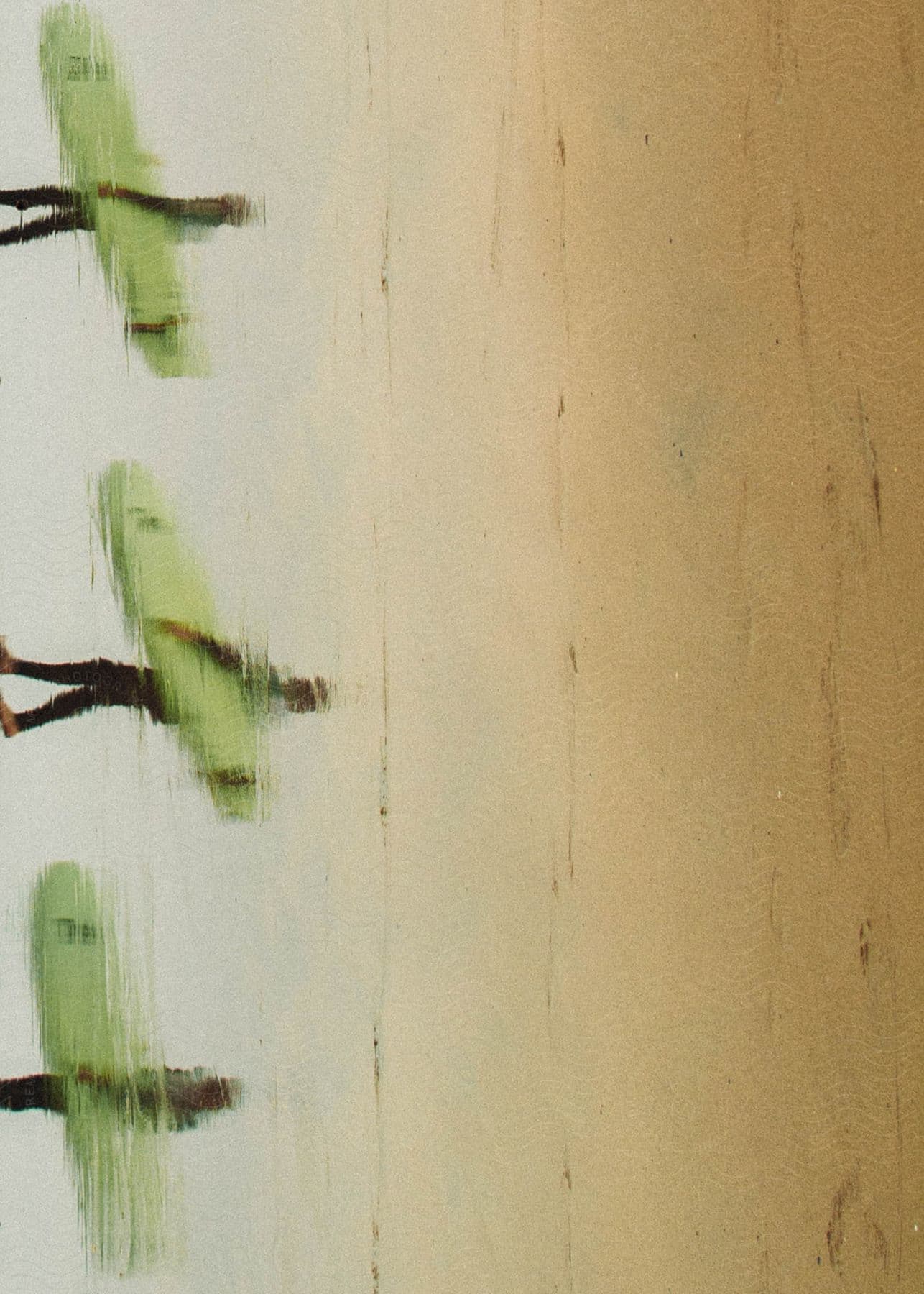 Three men holding surfboards in a reflection in the wet beach sand