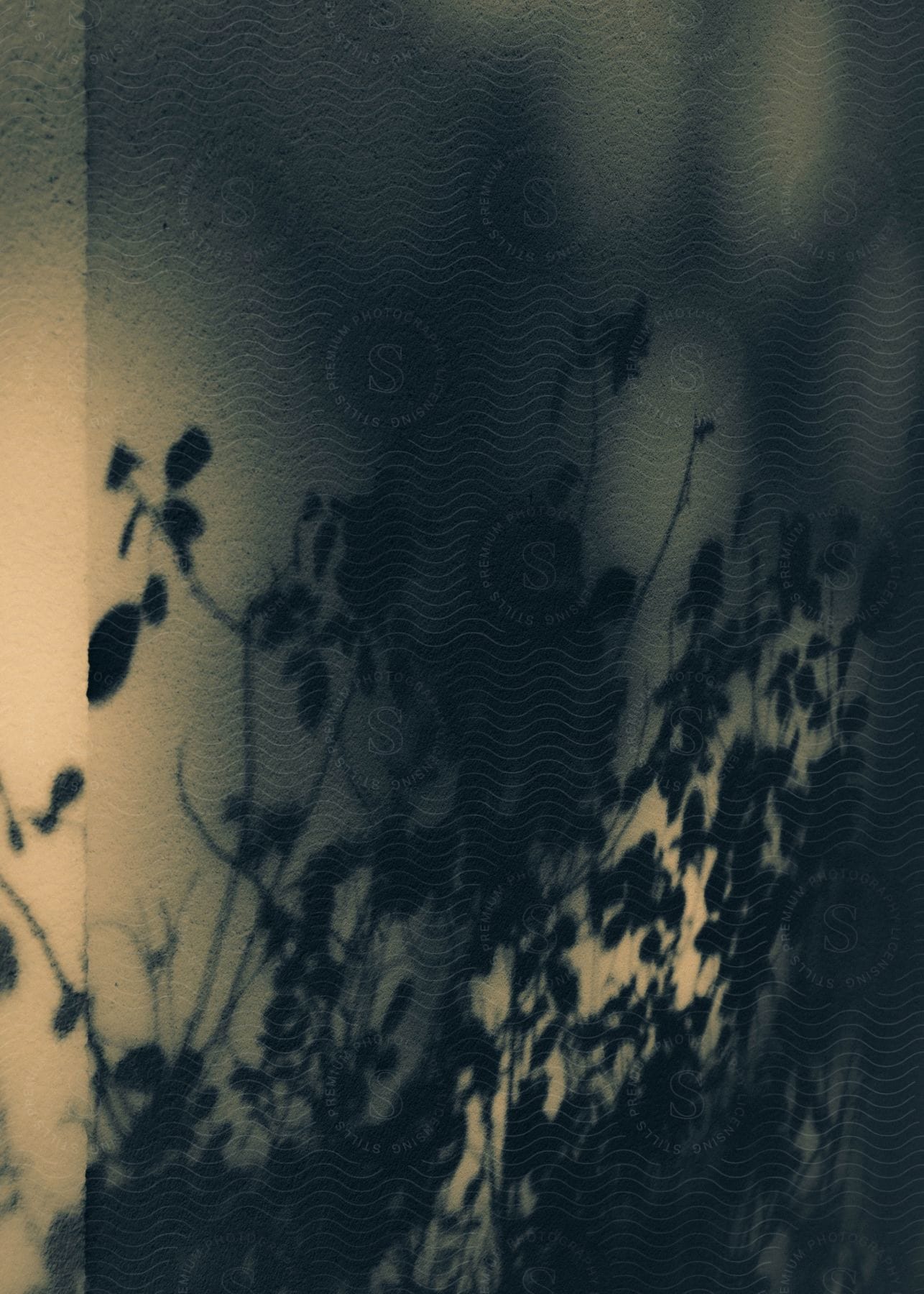 A shadow of leaves of a plant on a wall